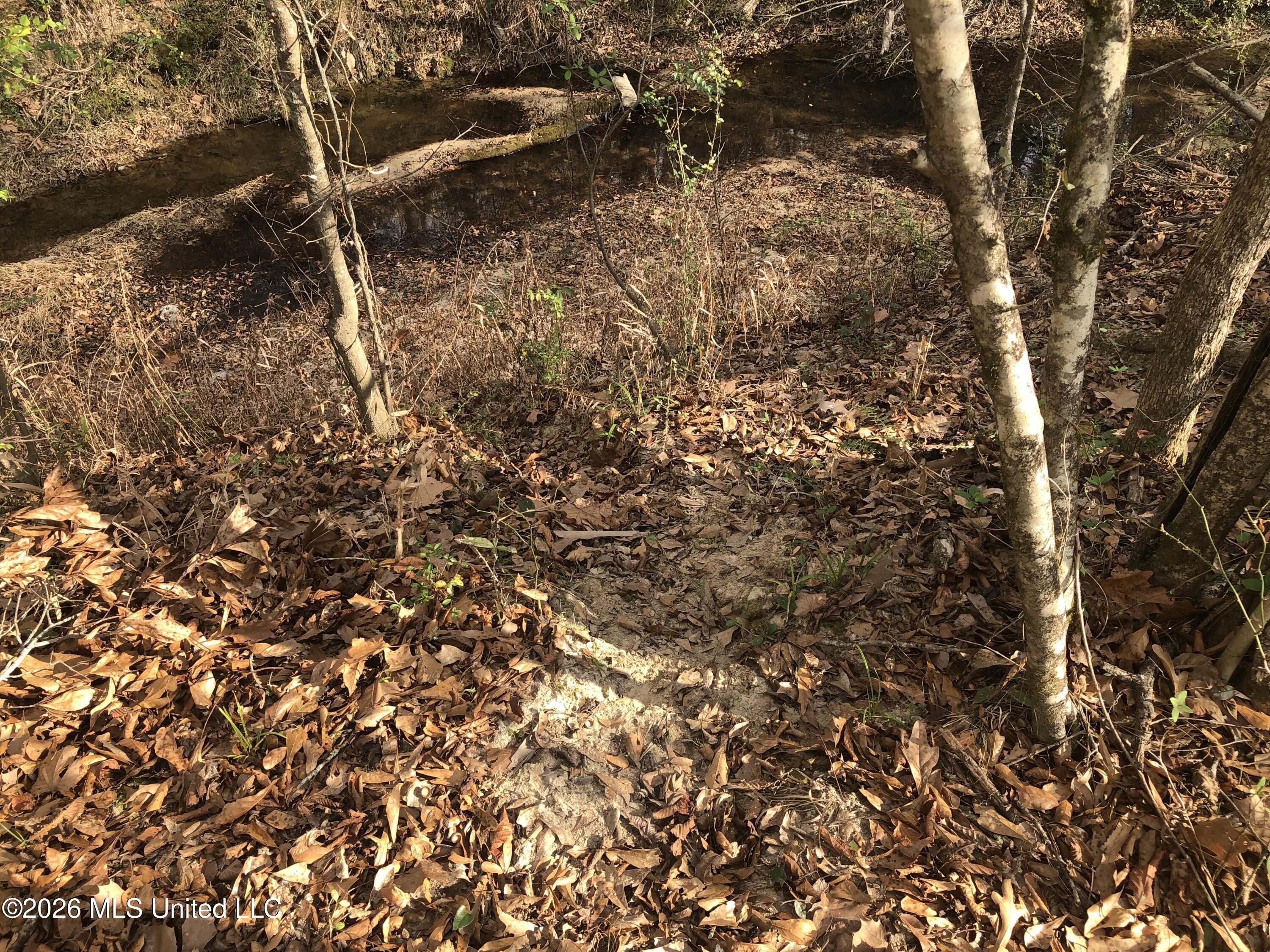 Tommy Ford Road Property Photo 10