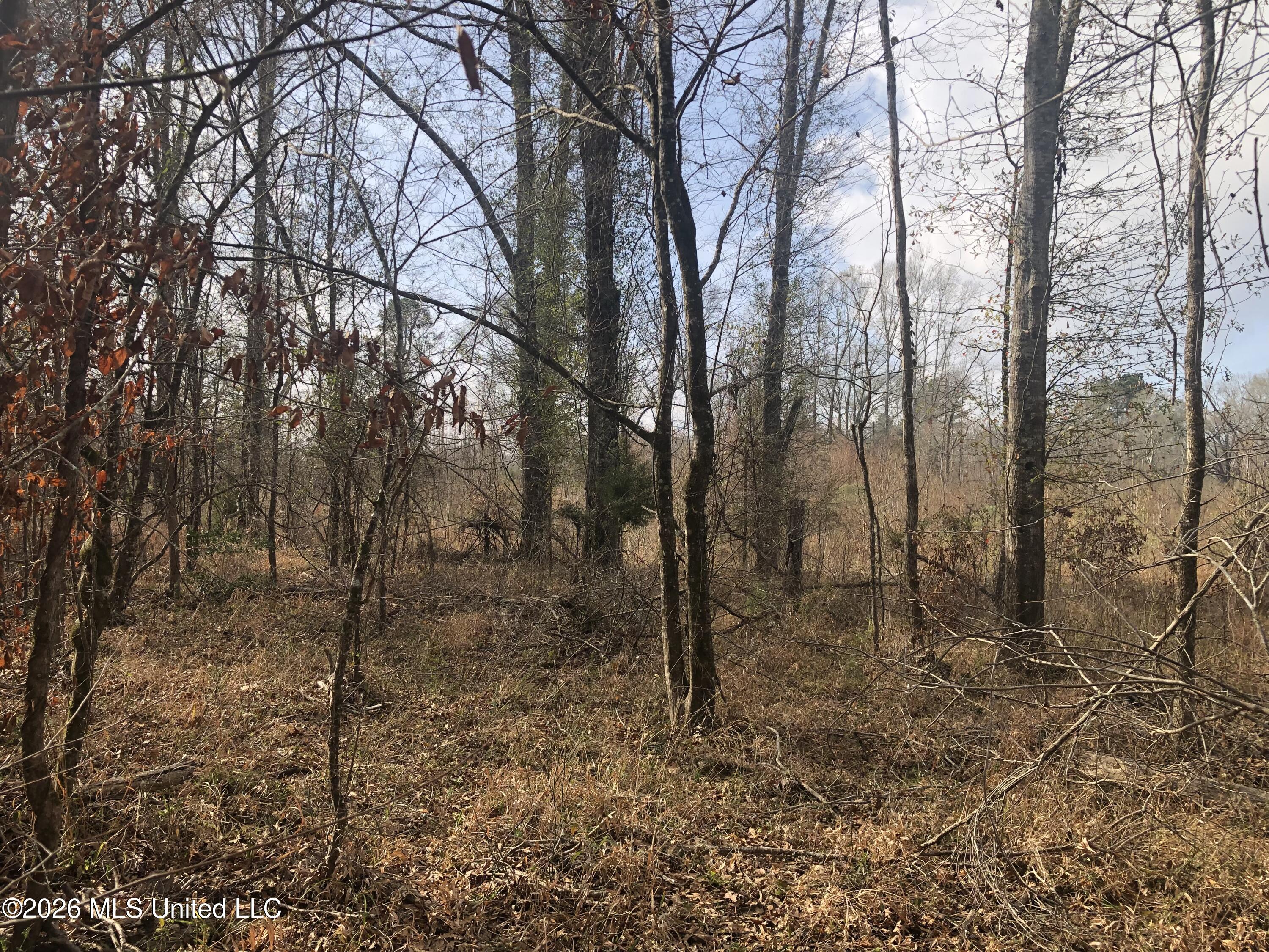 Tommy Ford Road Property Photo 11