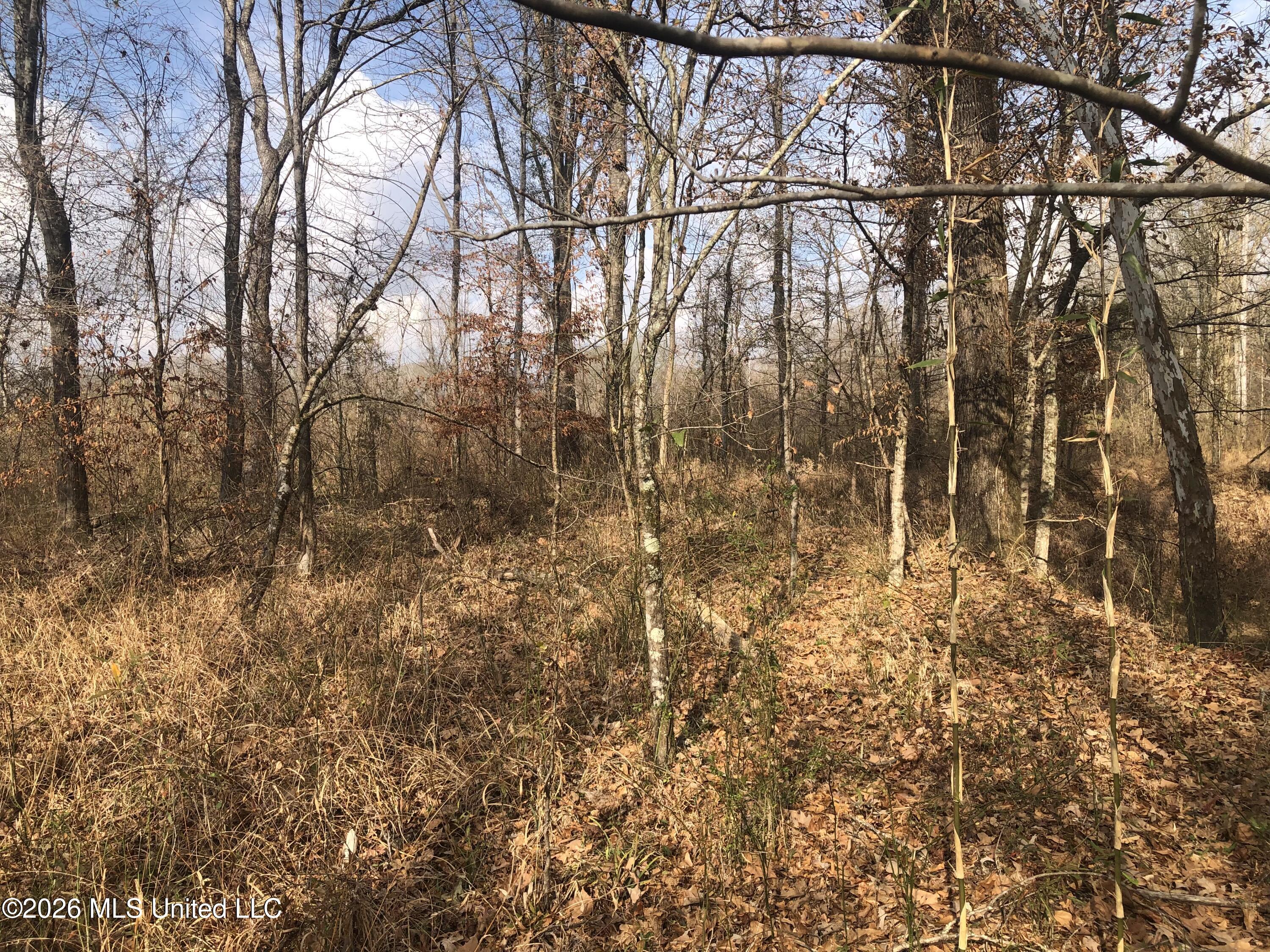 Tommy Ford Road Property Photo 12