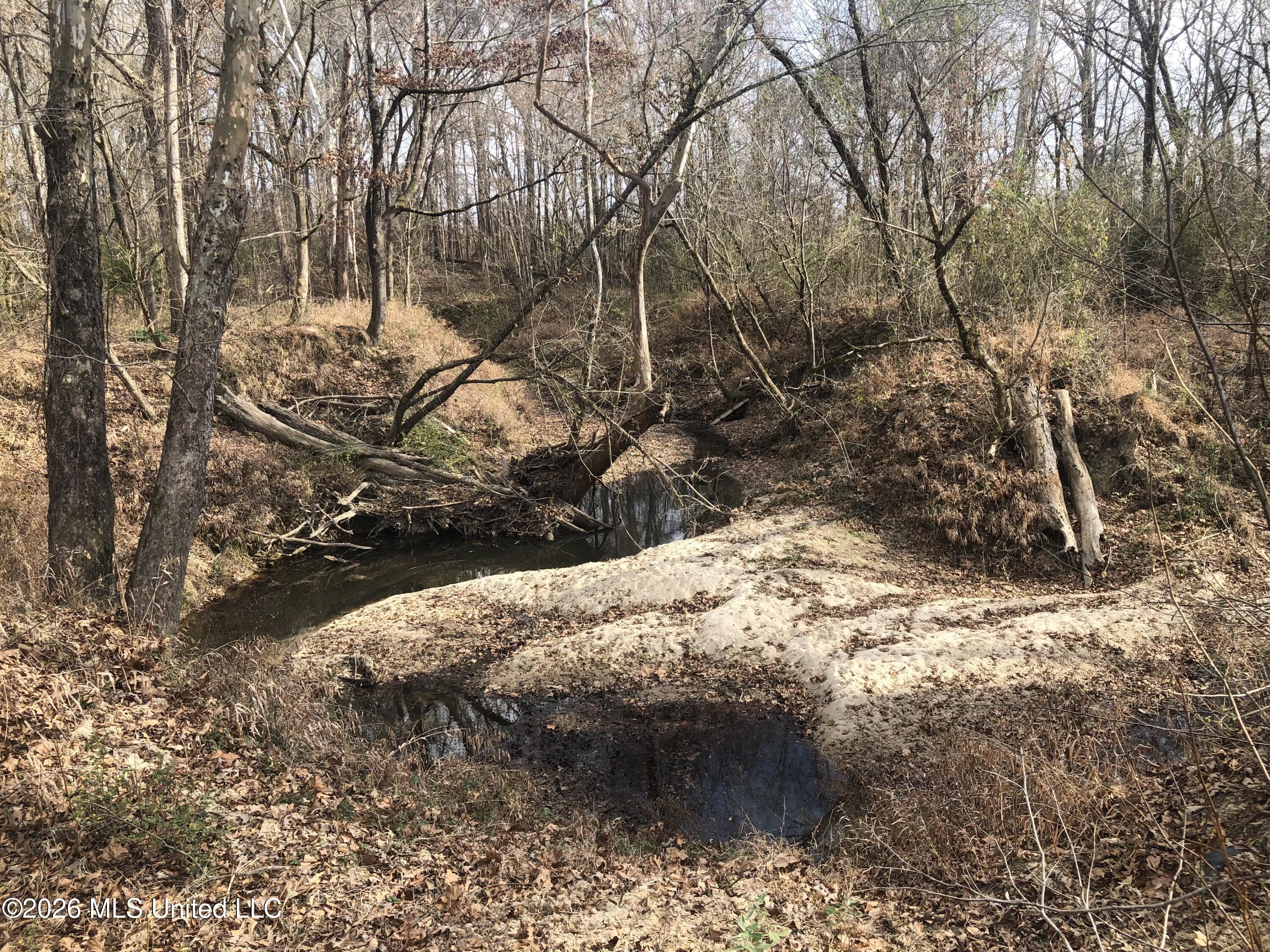 Tommy Ford Road Property Photo 13