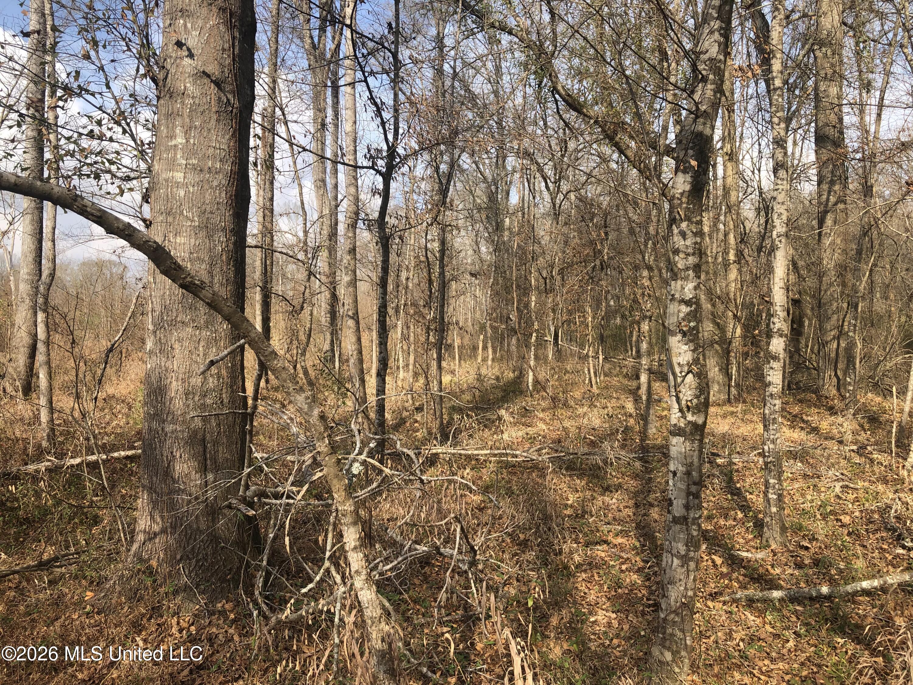 Tommy Ford Road Property Photo 14