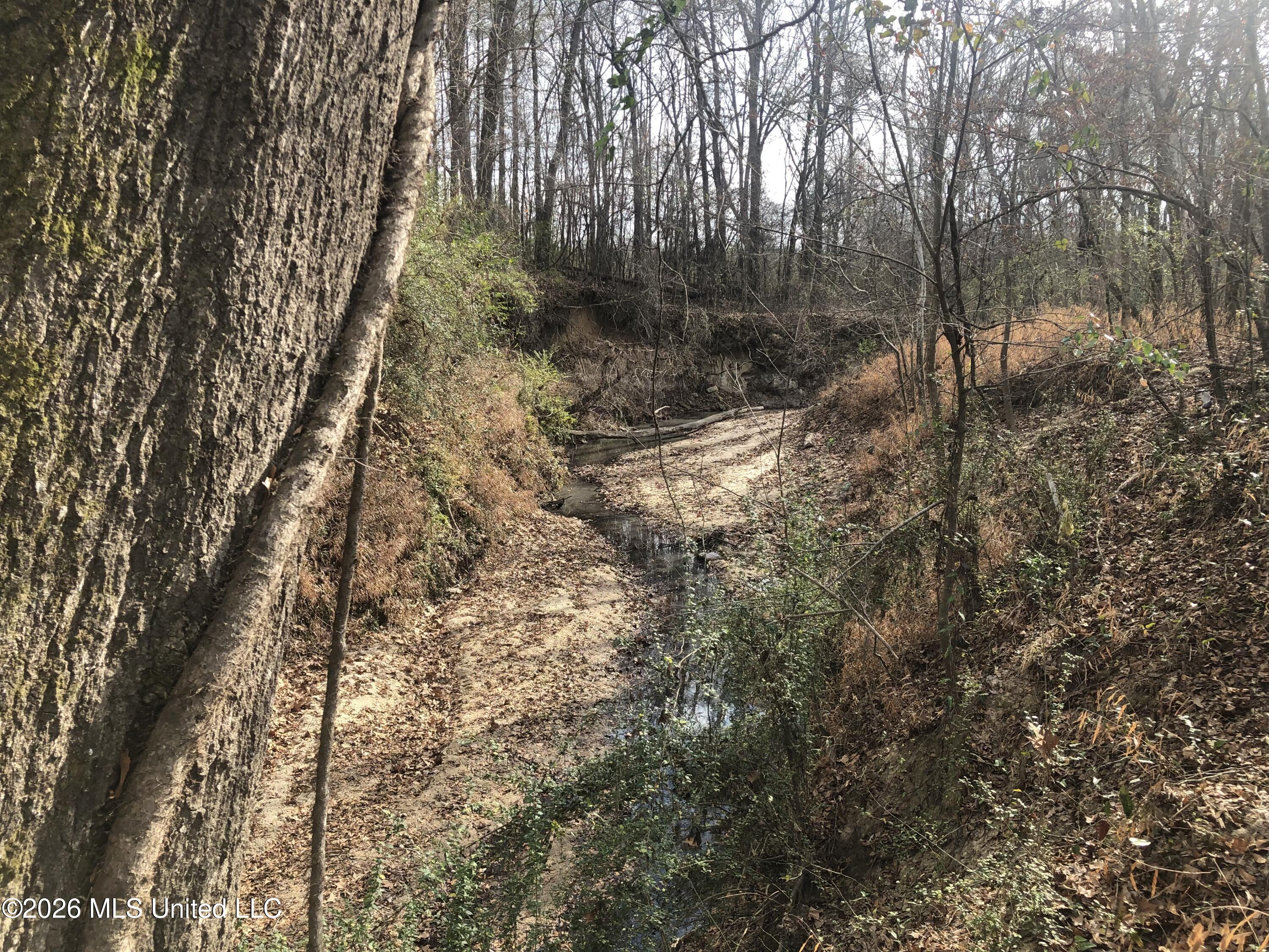 Tommy Ford Road Property Photo 16