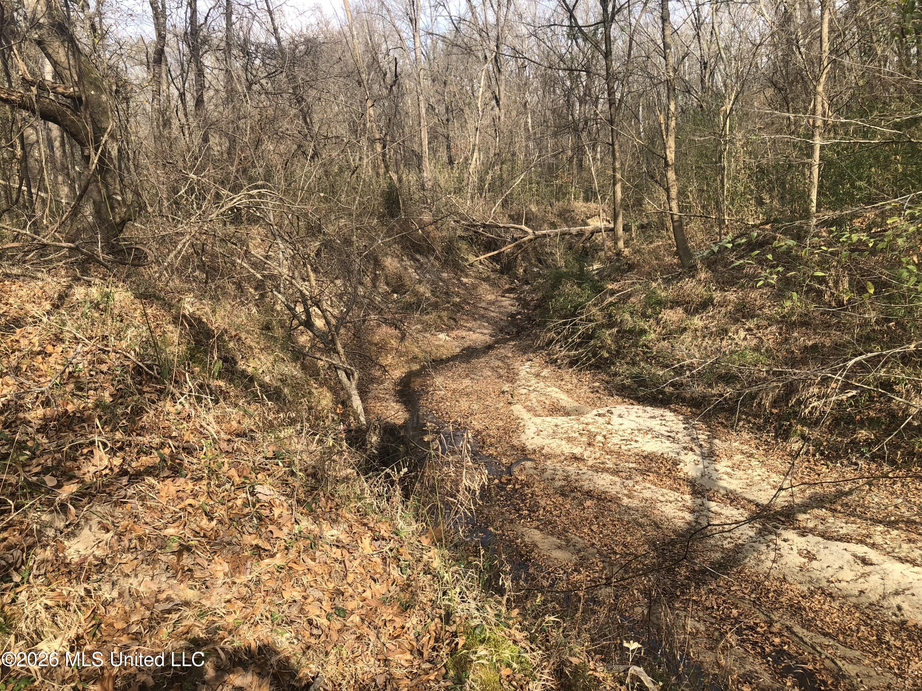 Tommy Ford Road Property Photo 17
