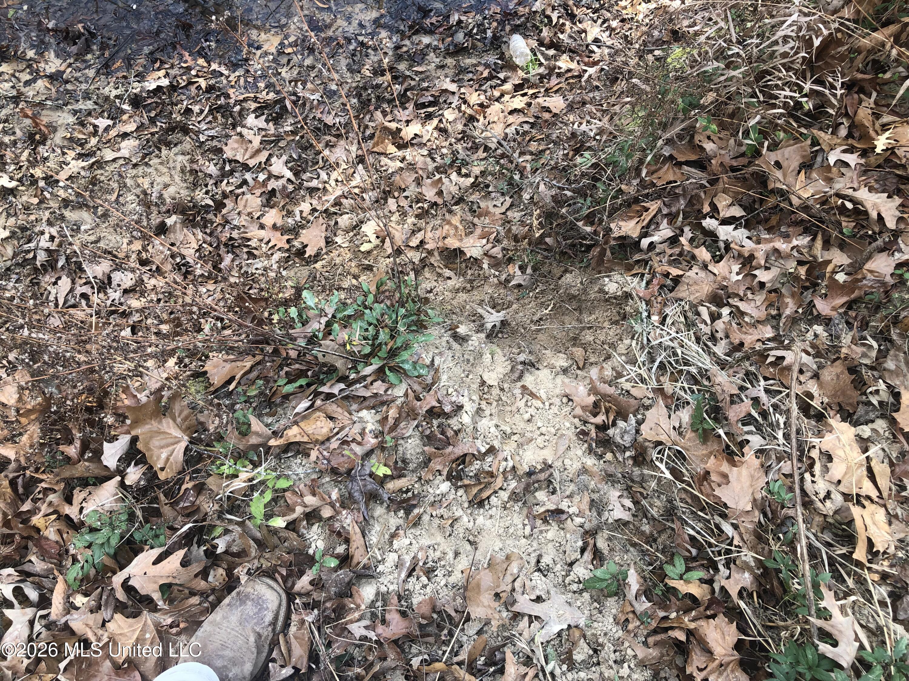 Tommy Ford Road Property Photo 18