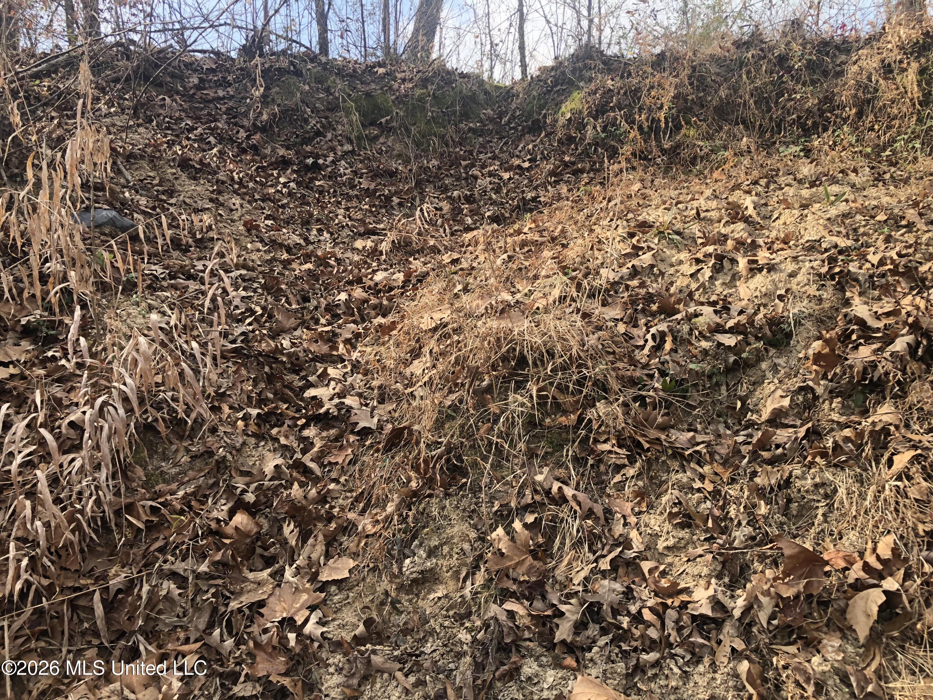 Tommy Ford Road Property Photo 20