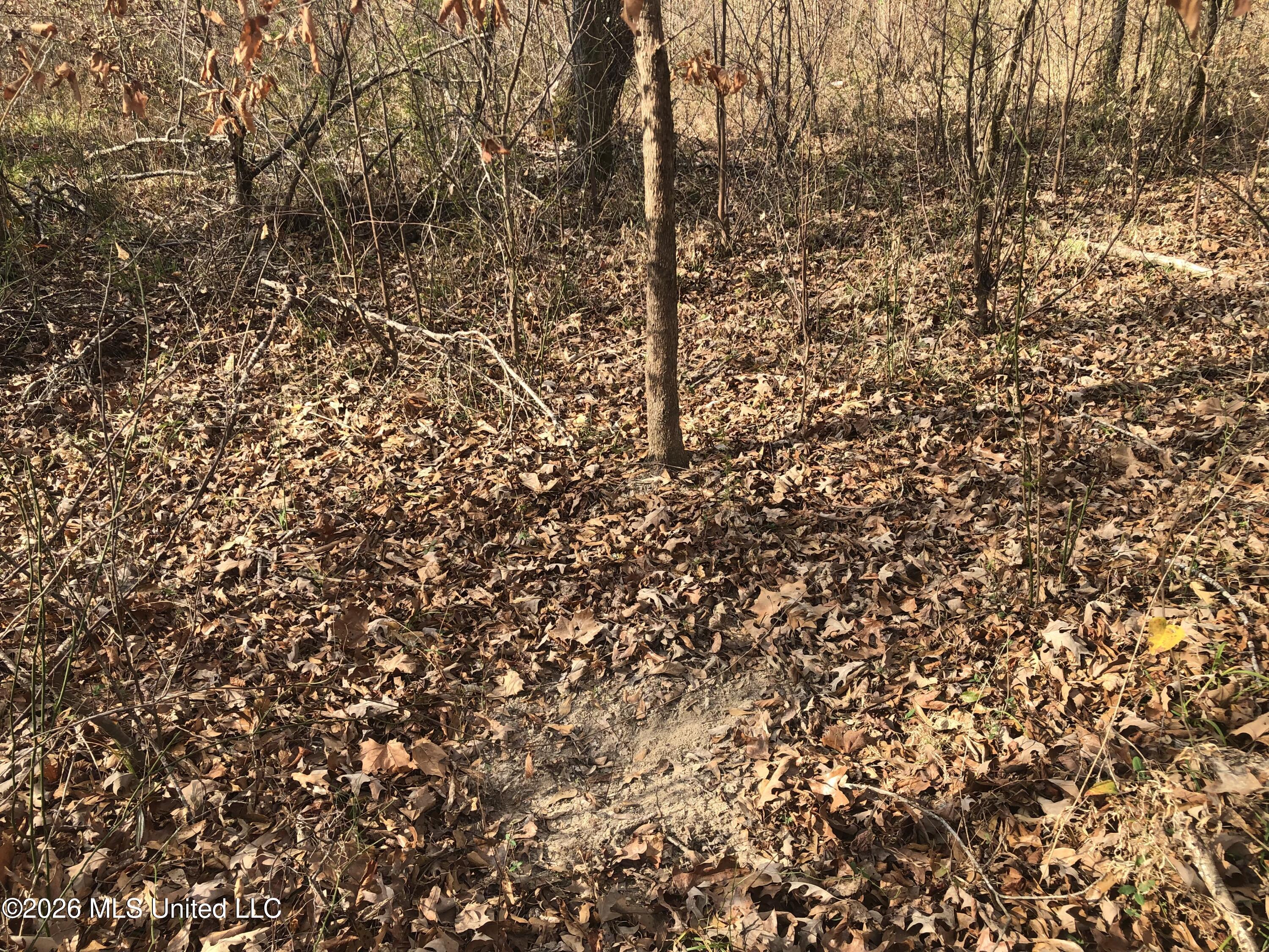 Tommy Ford Road Property Photo 21