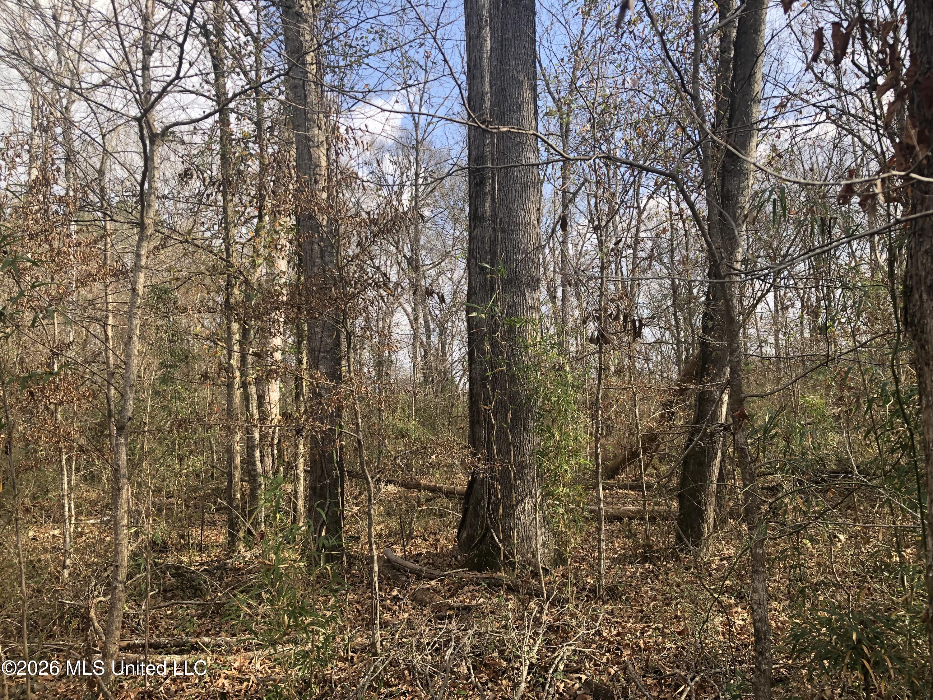 Tommy Ford Road Property Photo 22