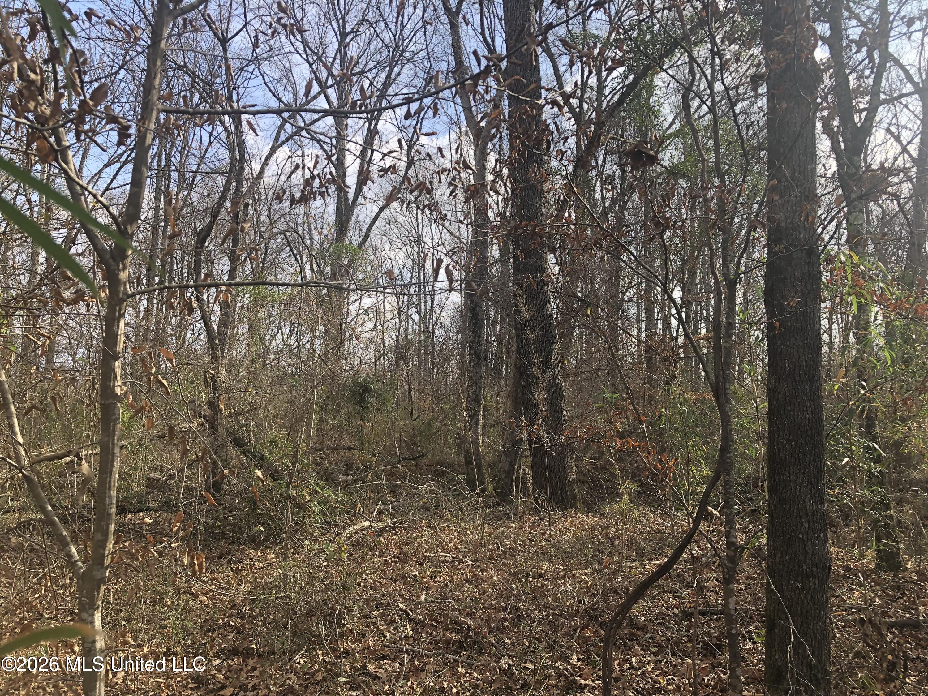 Tommy Ford Road Property Photo 23