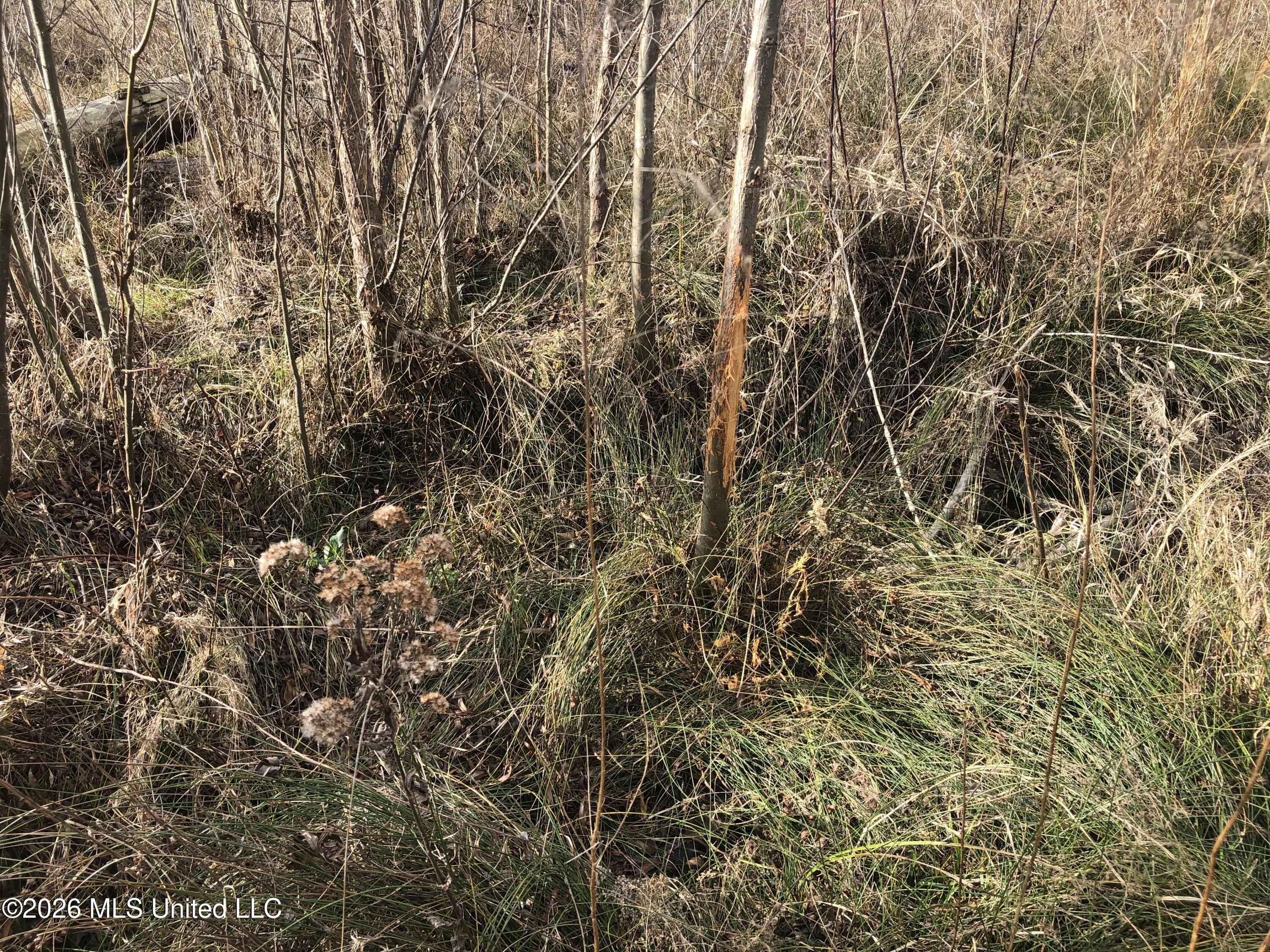Tommy Ford Road Property Photo 26