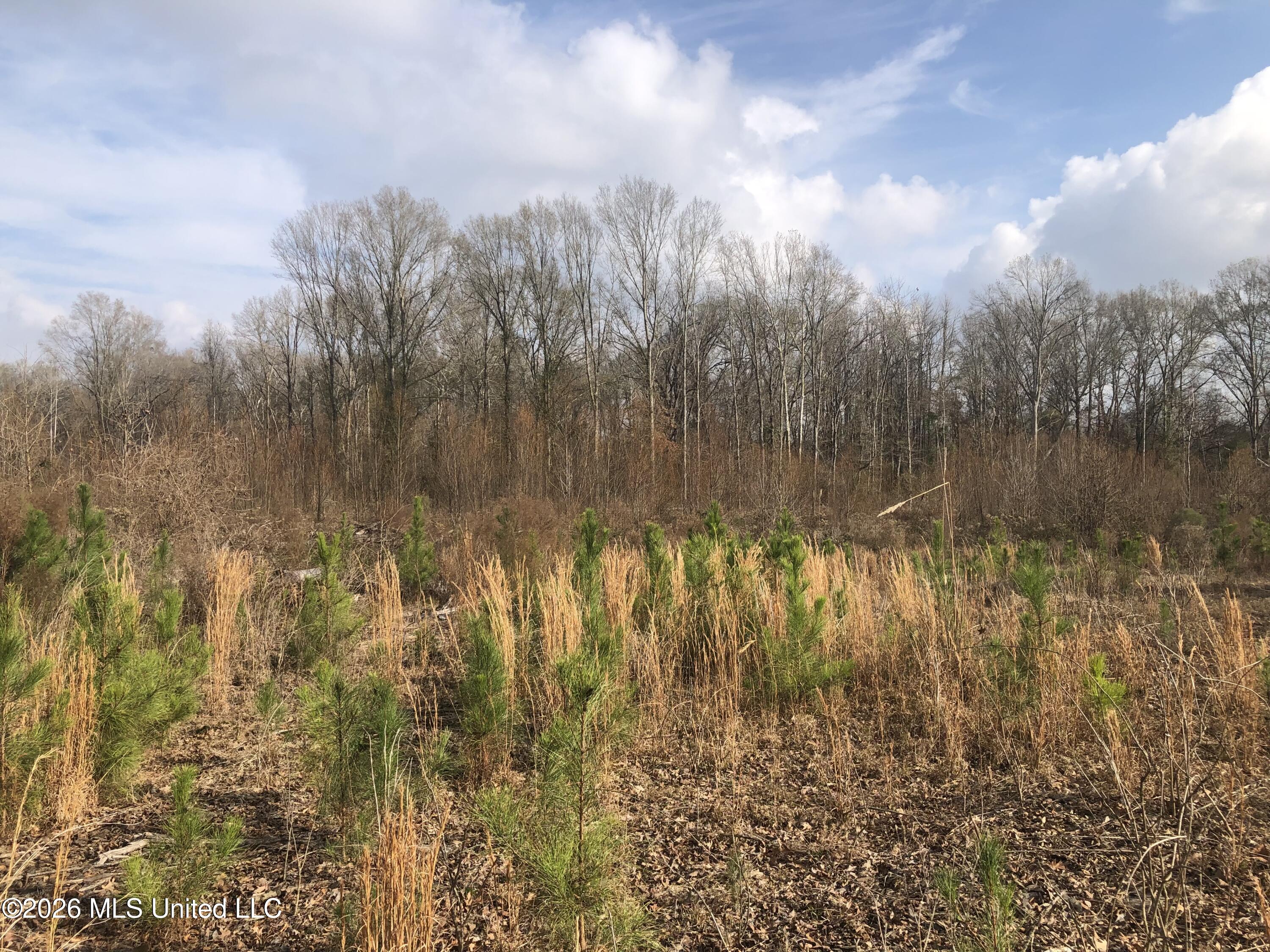 Tommy Ford Road Property Photo 27