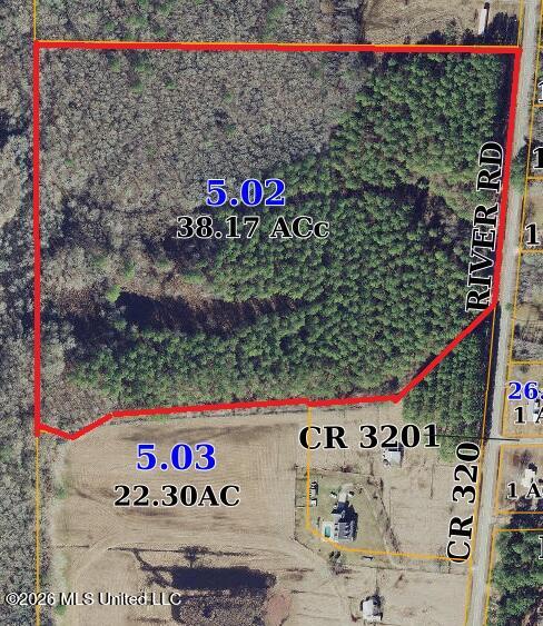 County Road 320 Property Photo 4