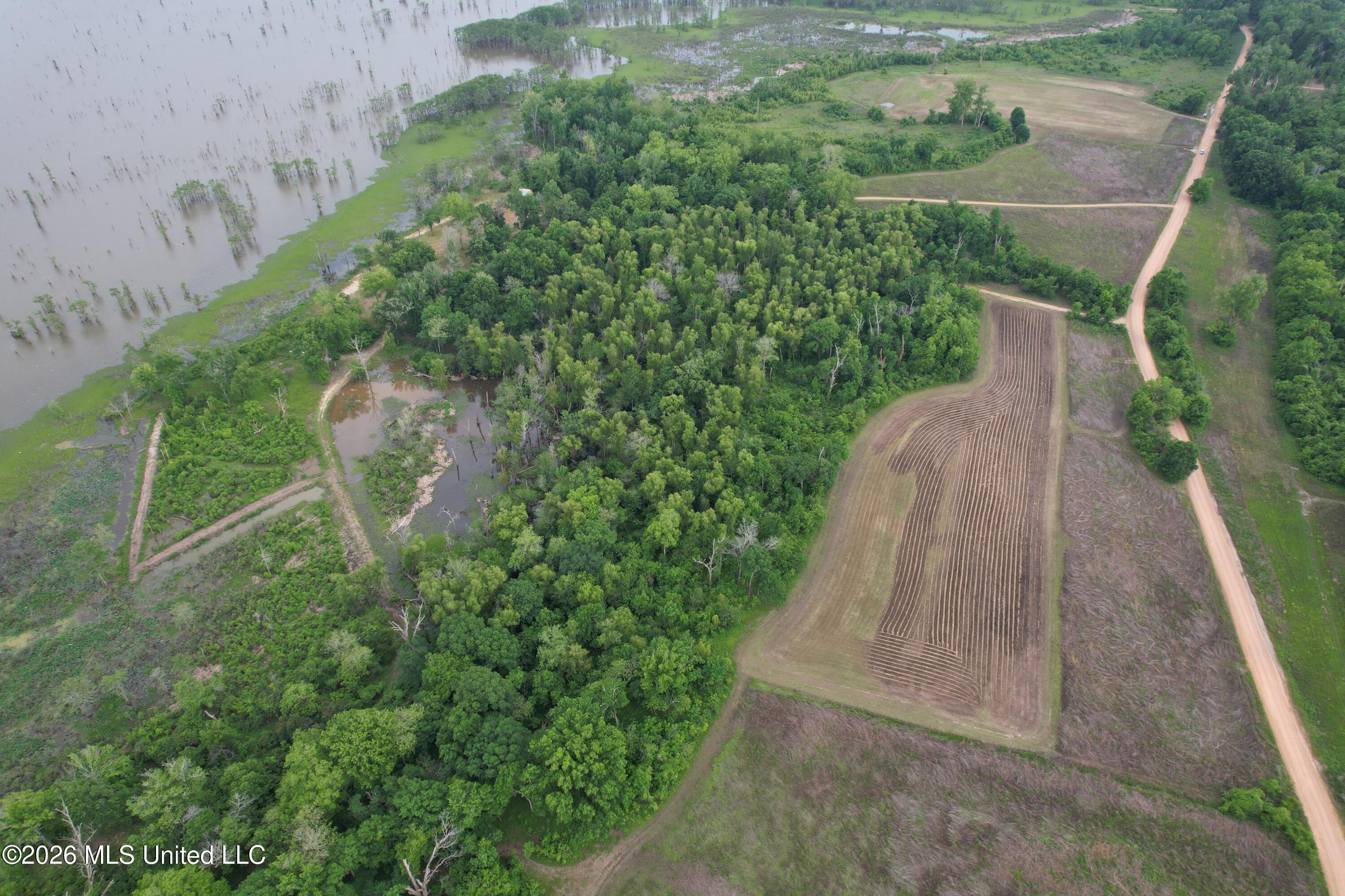 Lake Mary Road Property Photo 8