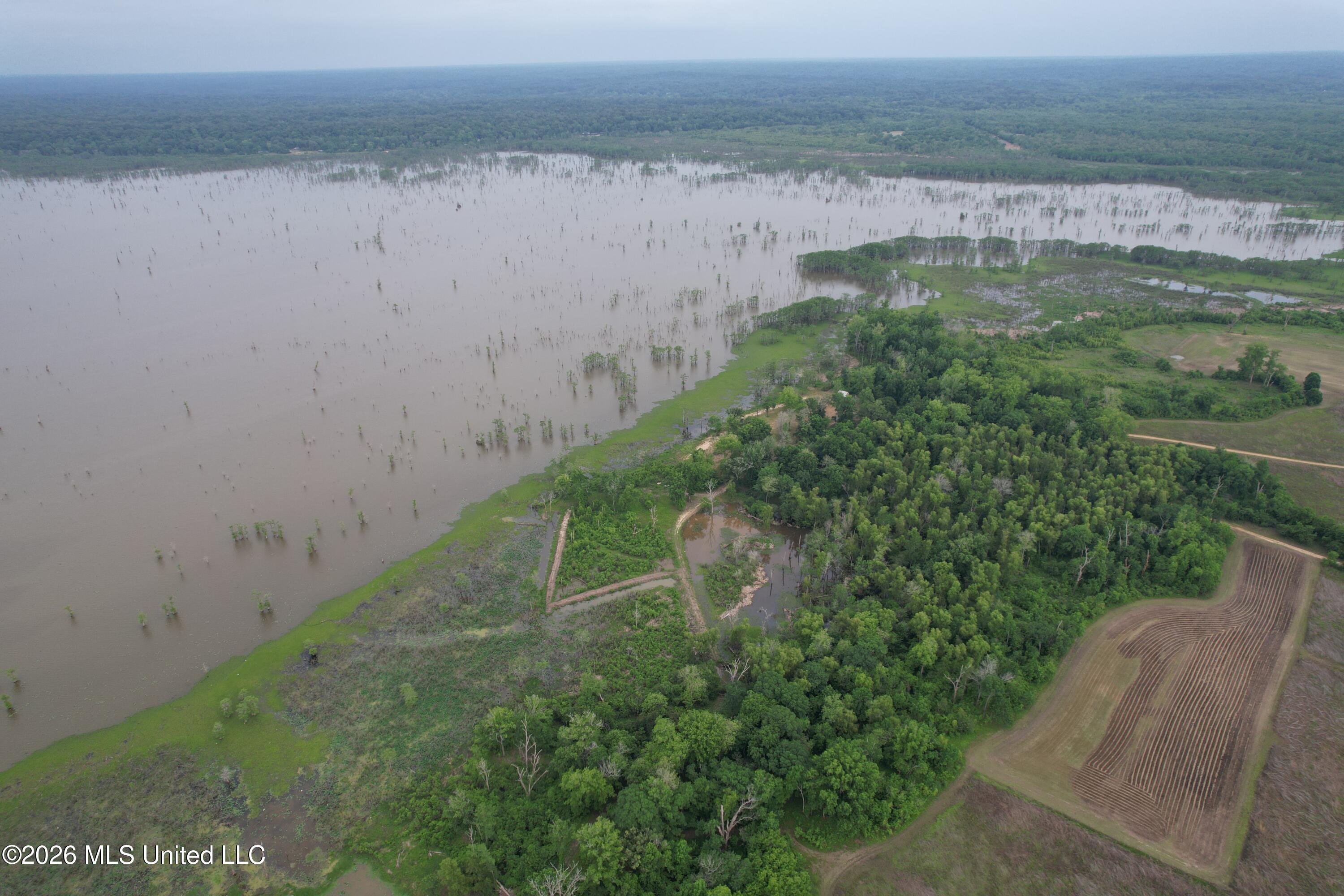 Lake Mary Road Property Photo 10
