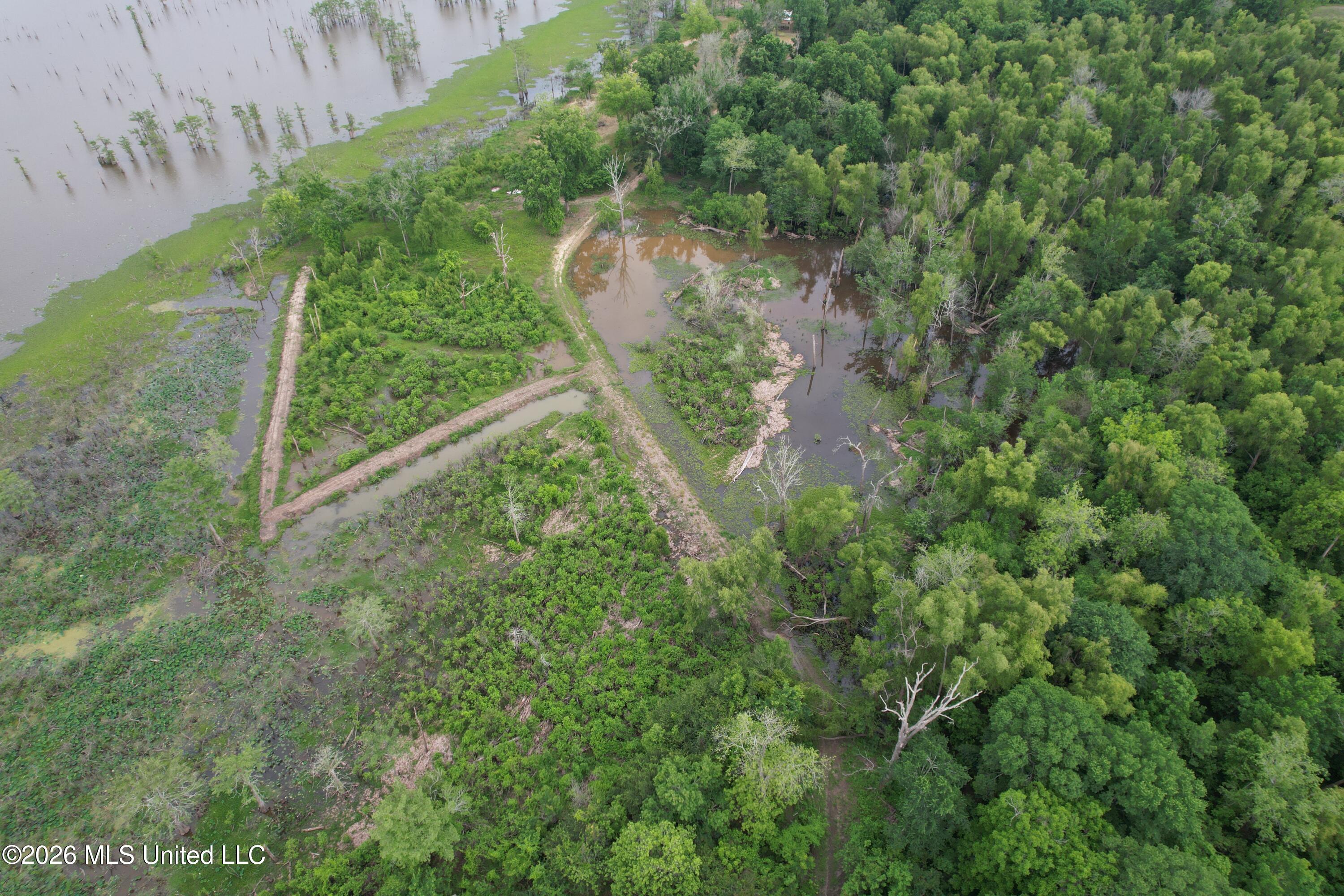 Lake Mary Road Property Photo 11