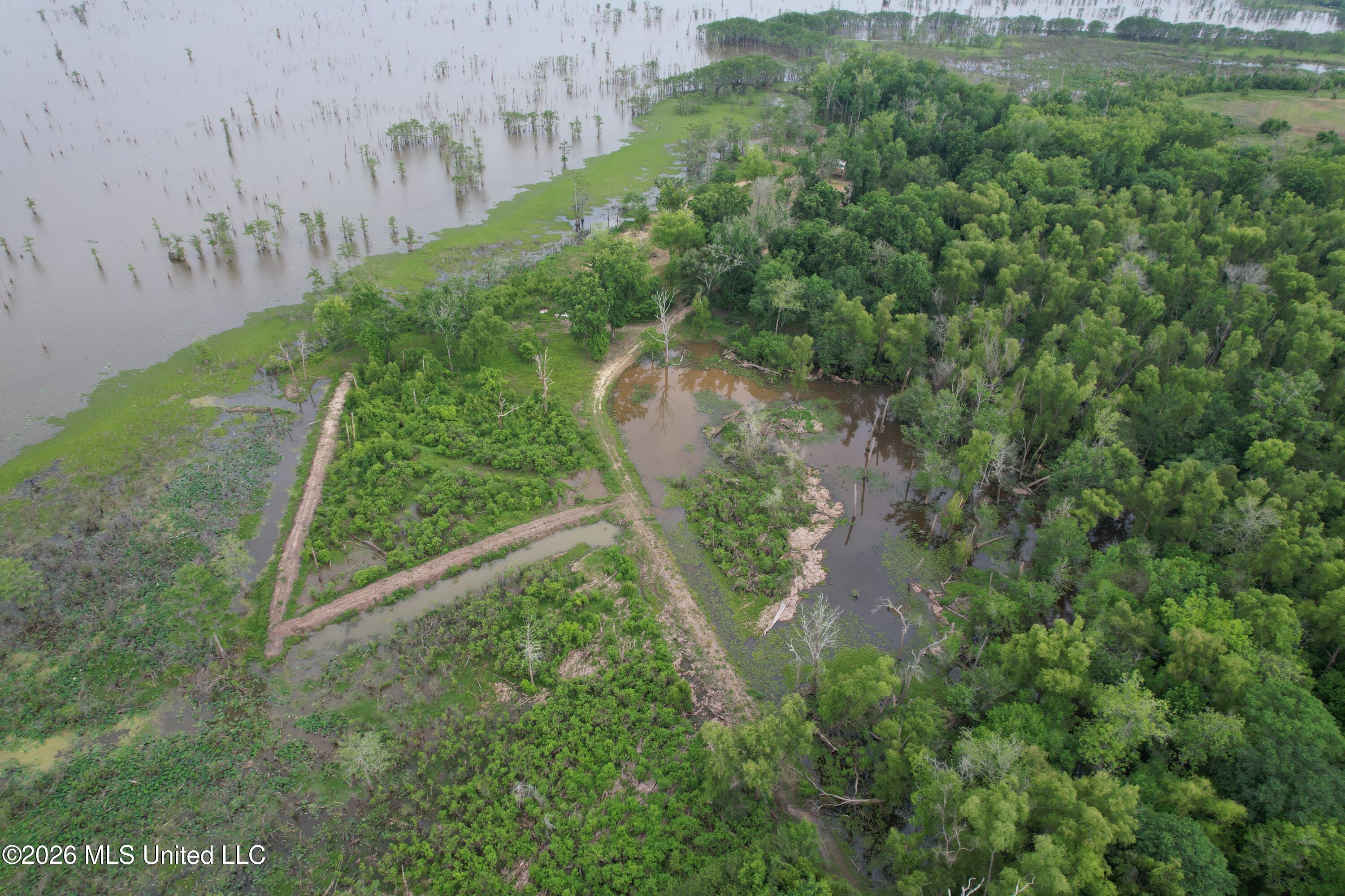 Lake Mary Road Property Photo 12