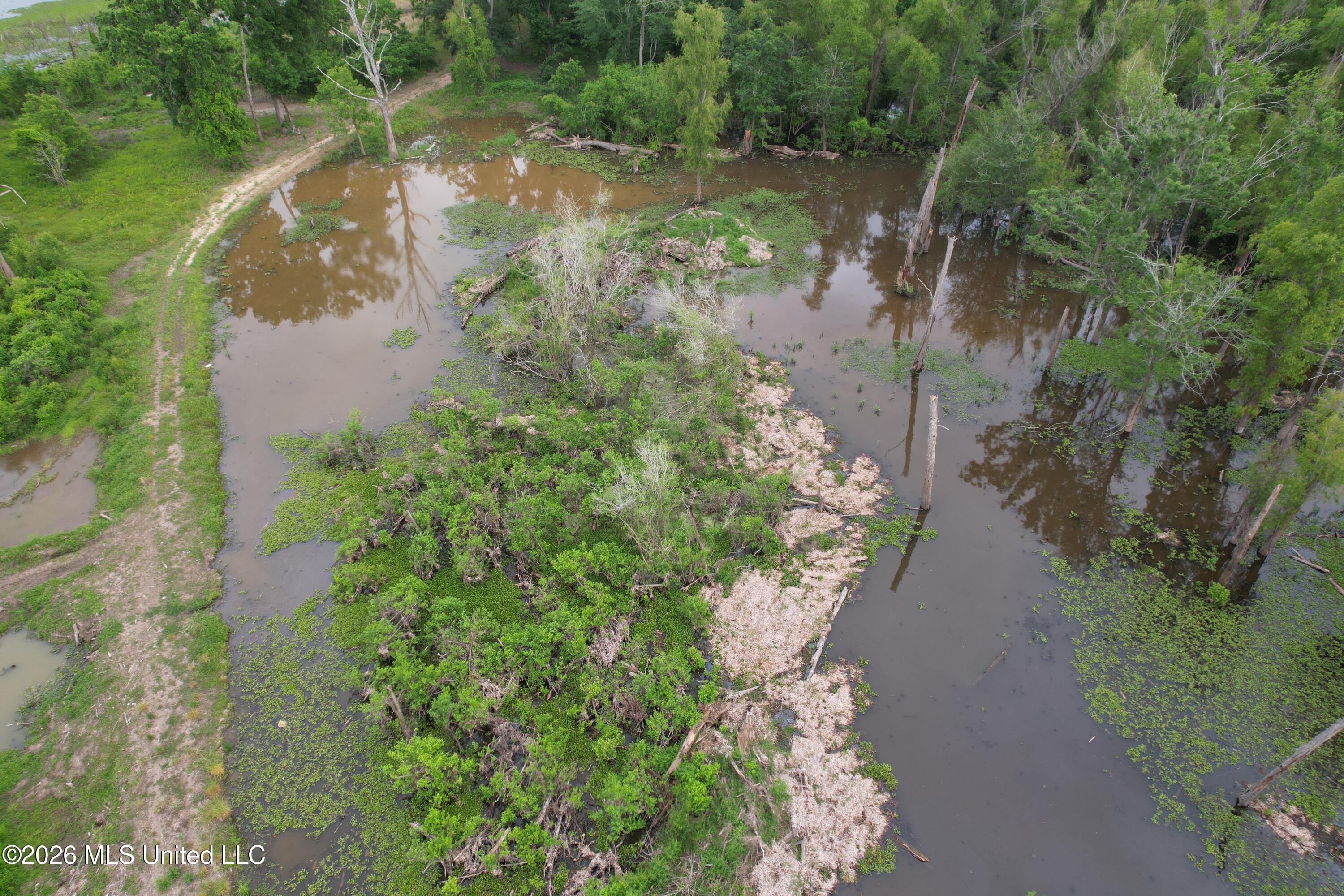 Lake Mary Road Property Photo 13