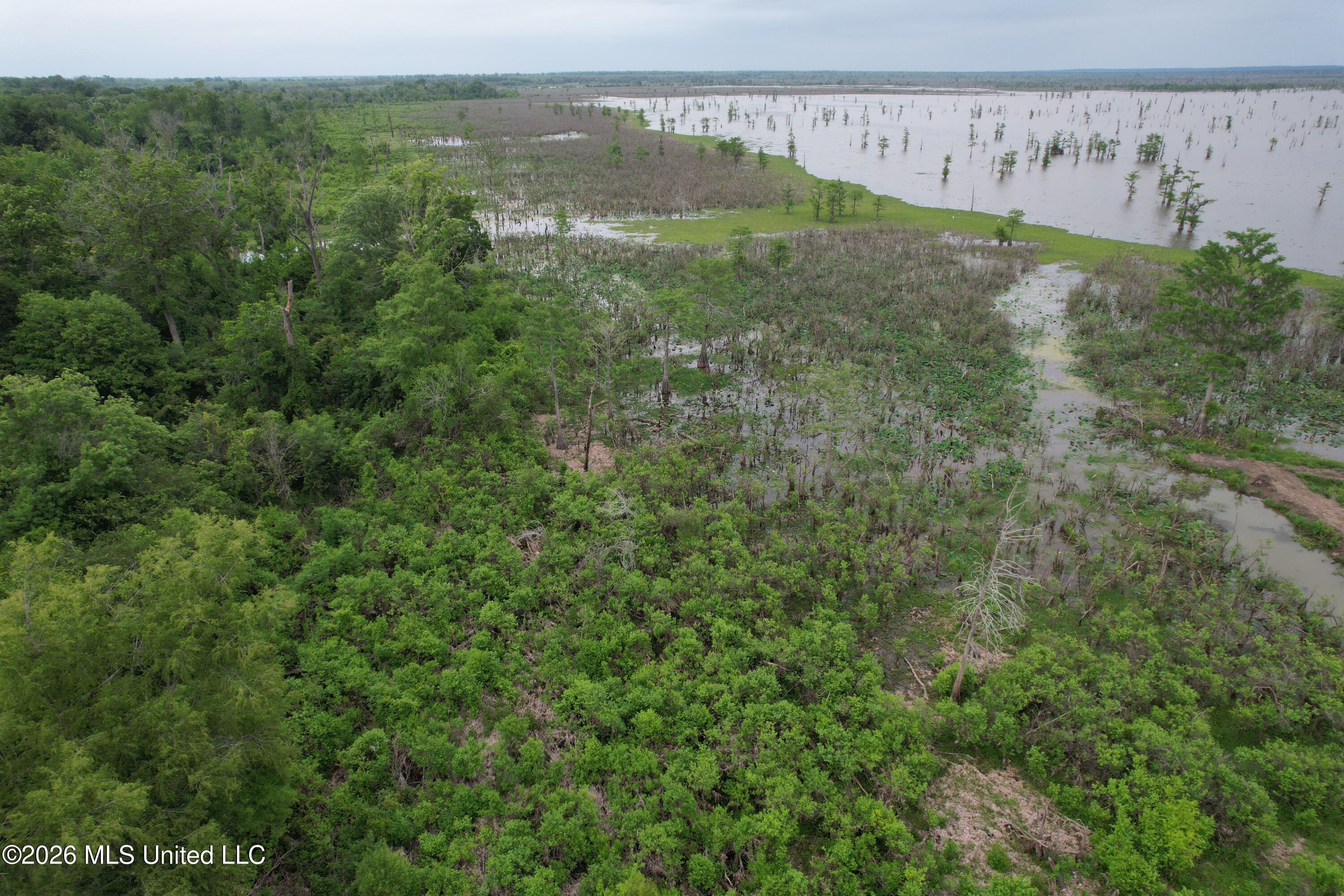 Lake Mary Road Property Photo 15