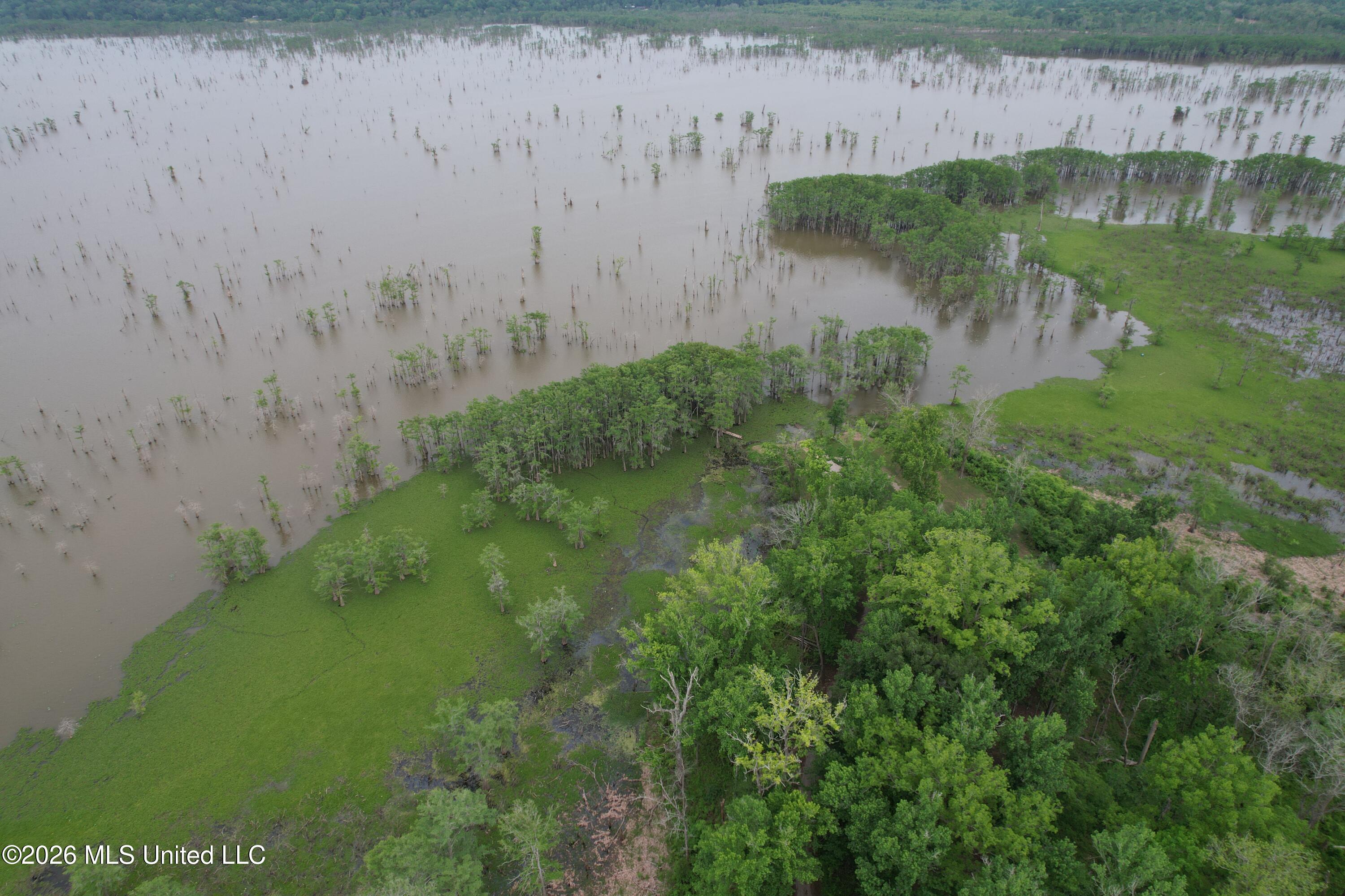 Lake Mary Road Property Photo 17