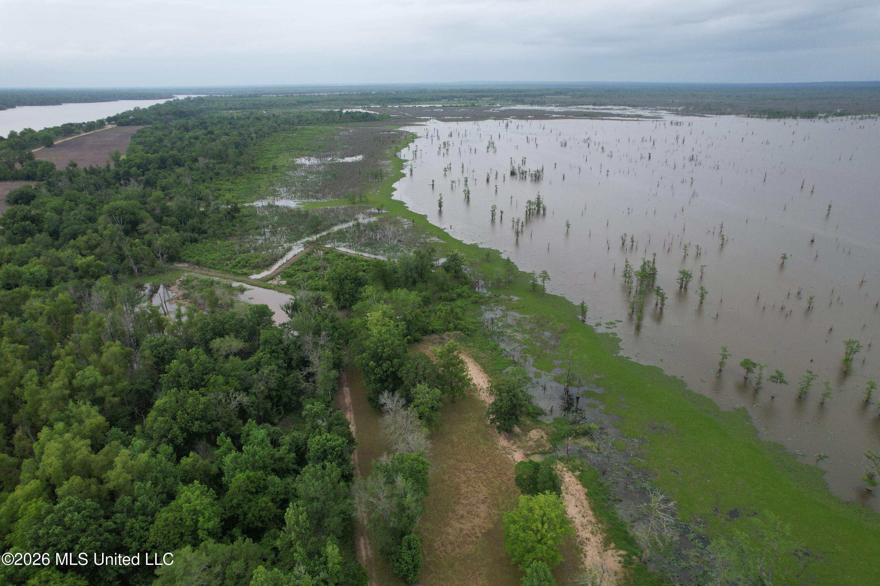 Lake Mary Road Property Photo 18