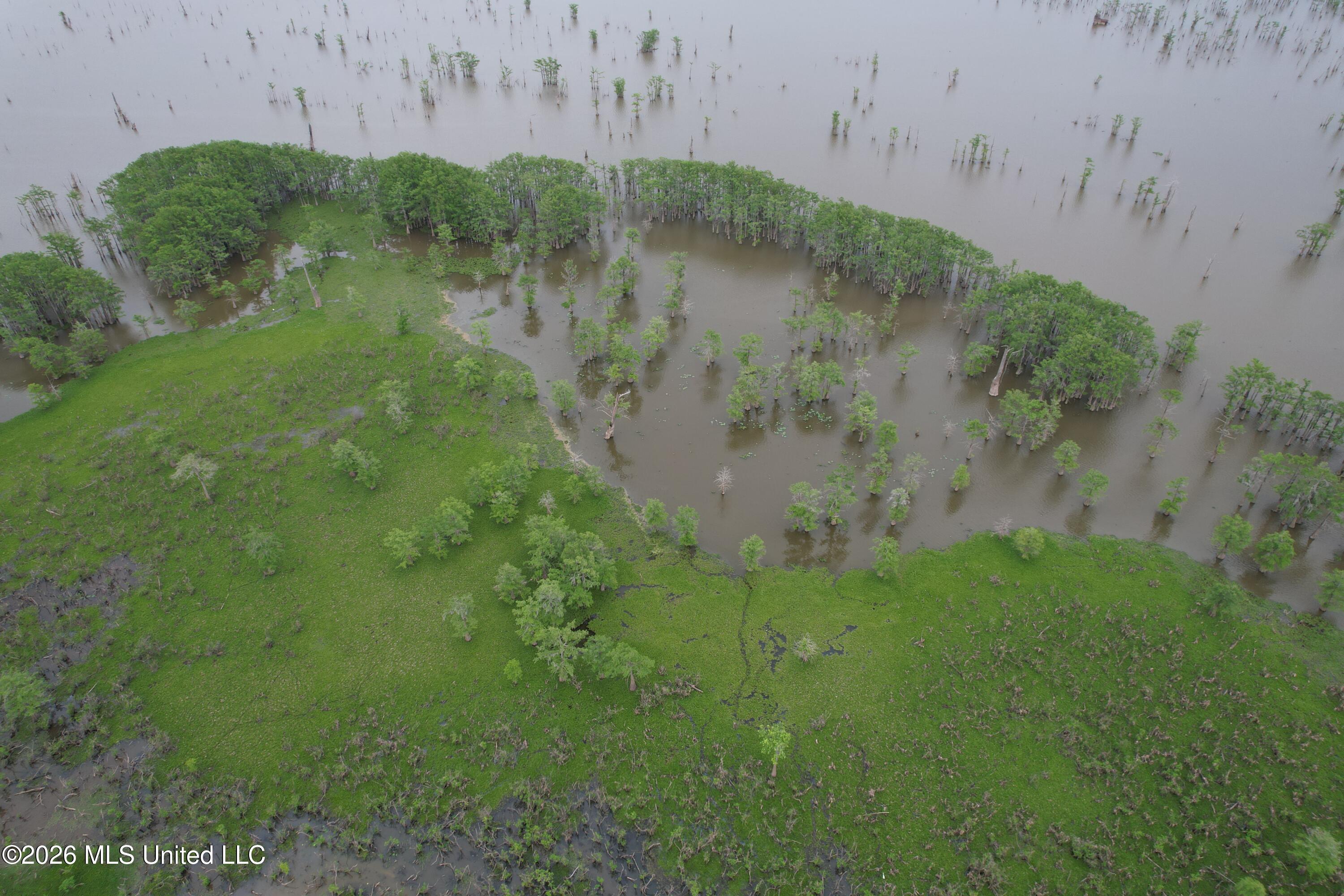 Lake Mary Road Property Photo 23