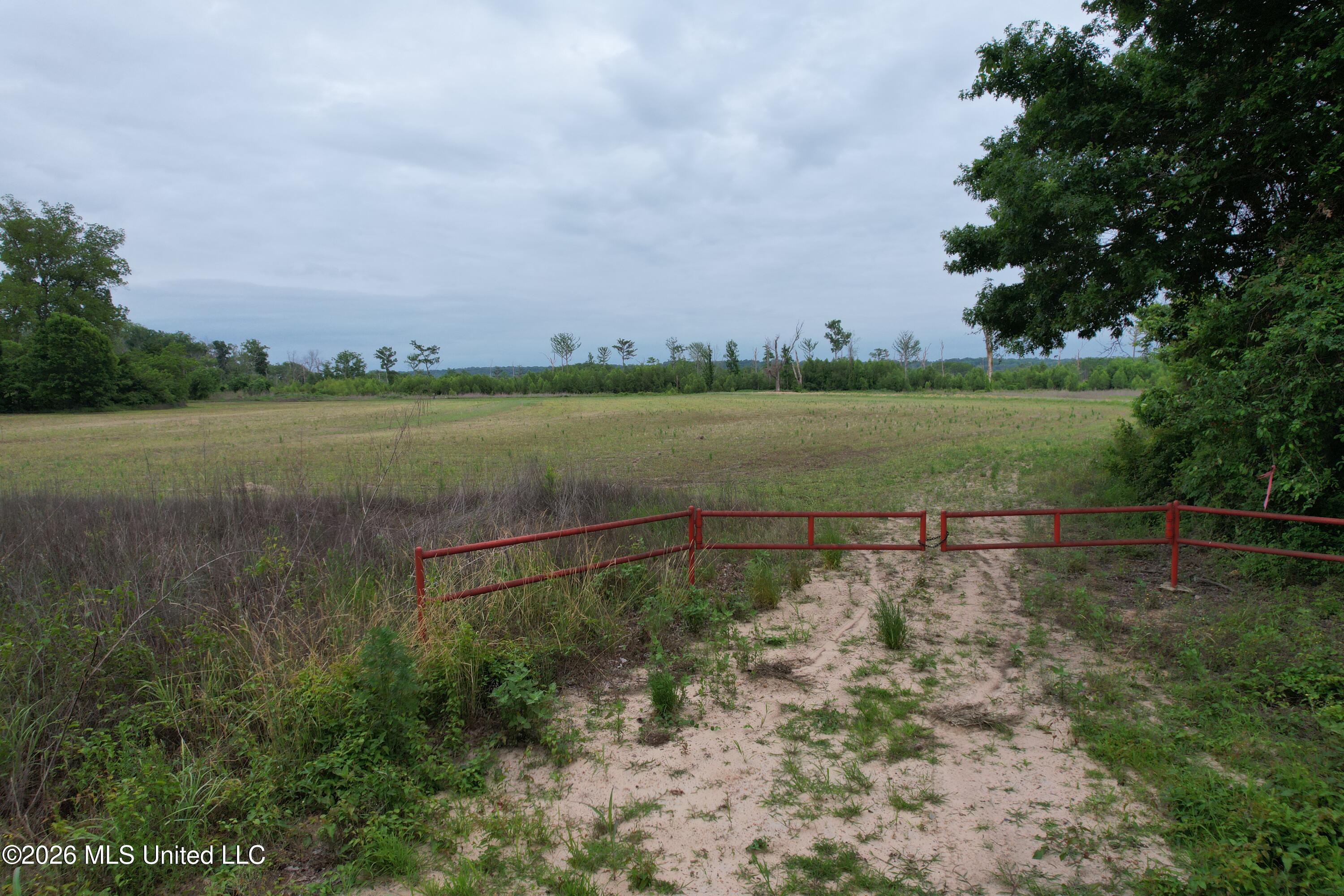 Lake Mary Road Property Photo 28