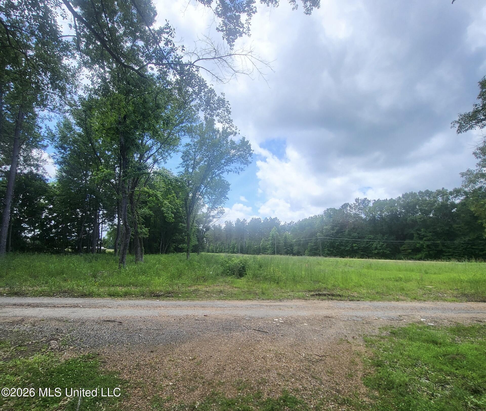 Hwy 16 Property Photo 3