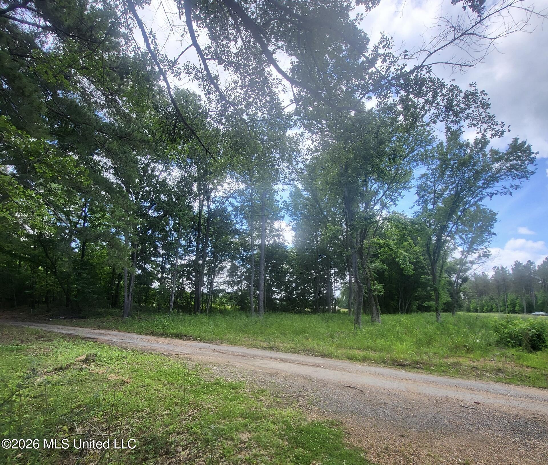 Hwy 16 Property Photo 4