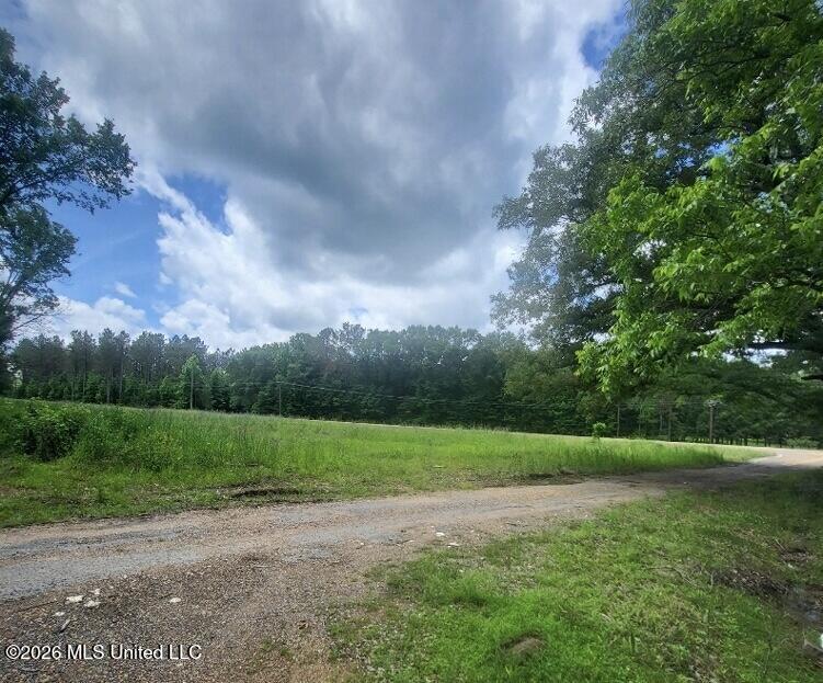 Hwy 16 Property Photo 5