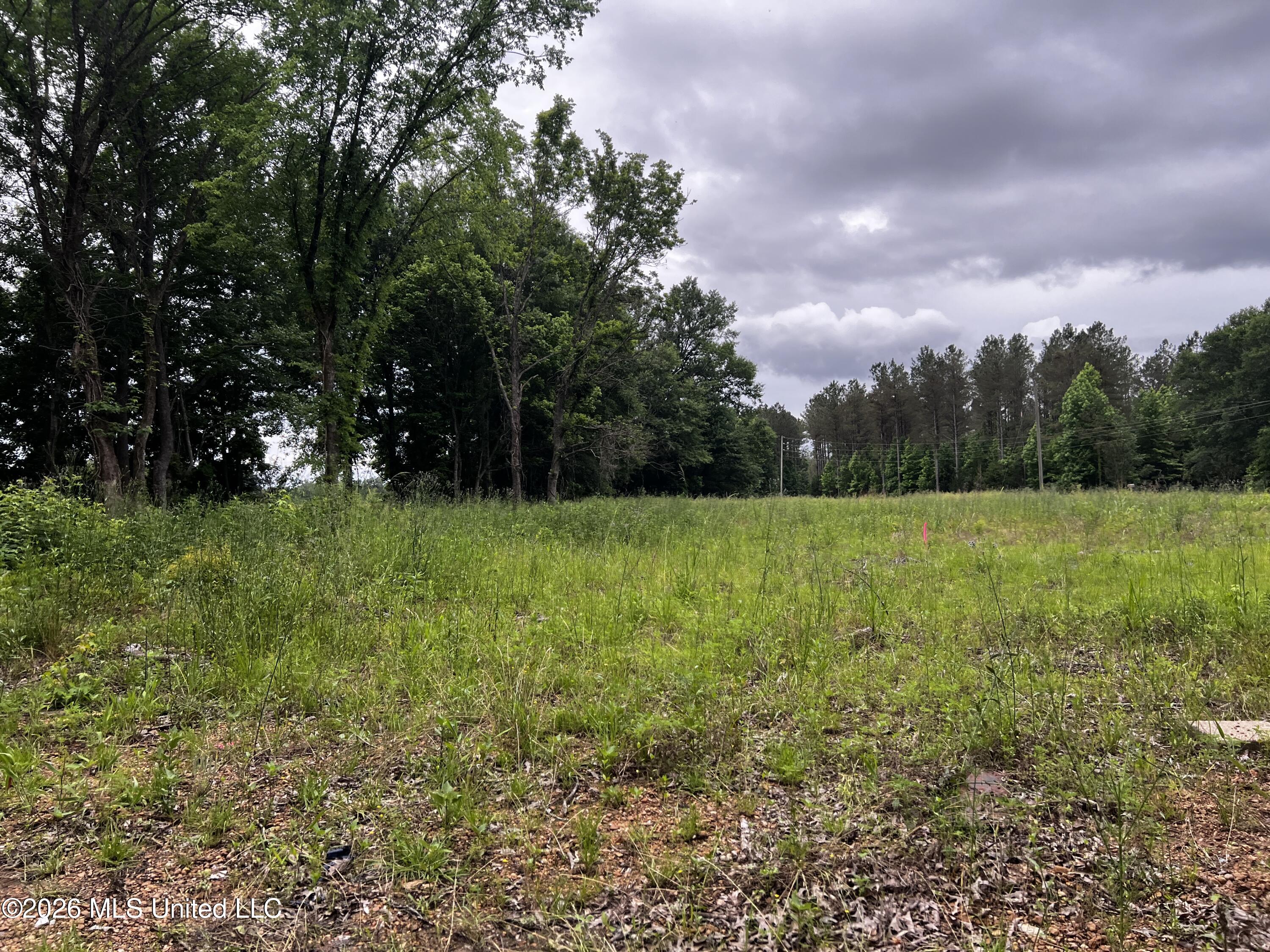 Hwy 16 Property Photo 6