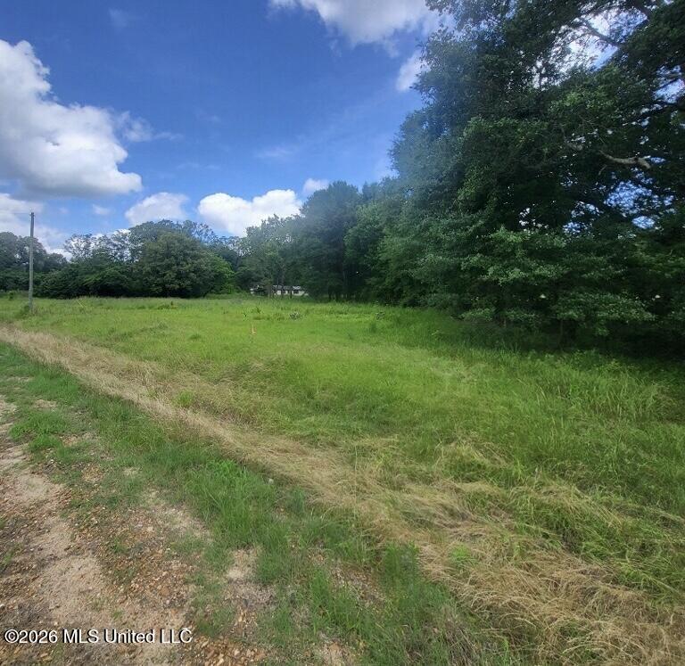 Hwy 16 Property Photo 8