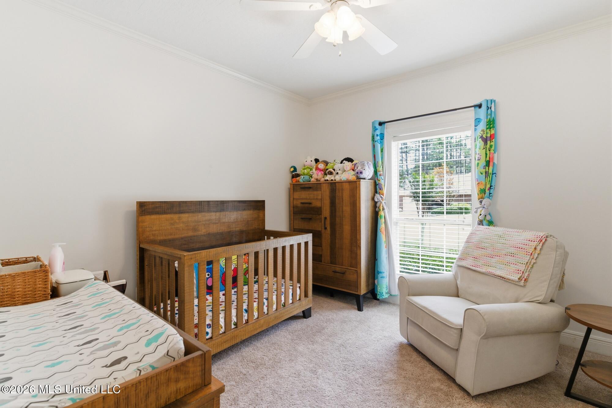 66 Longstone Road Property Photo 3