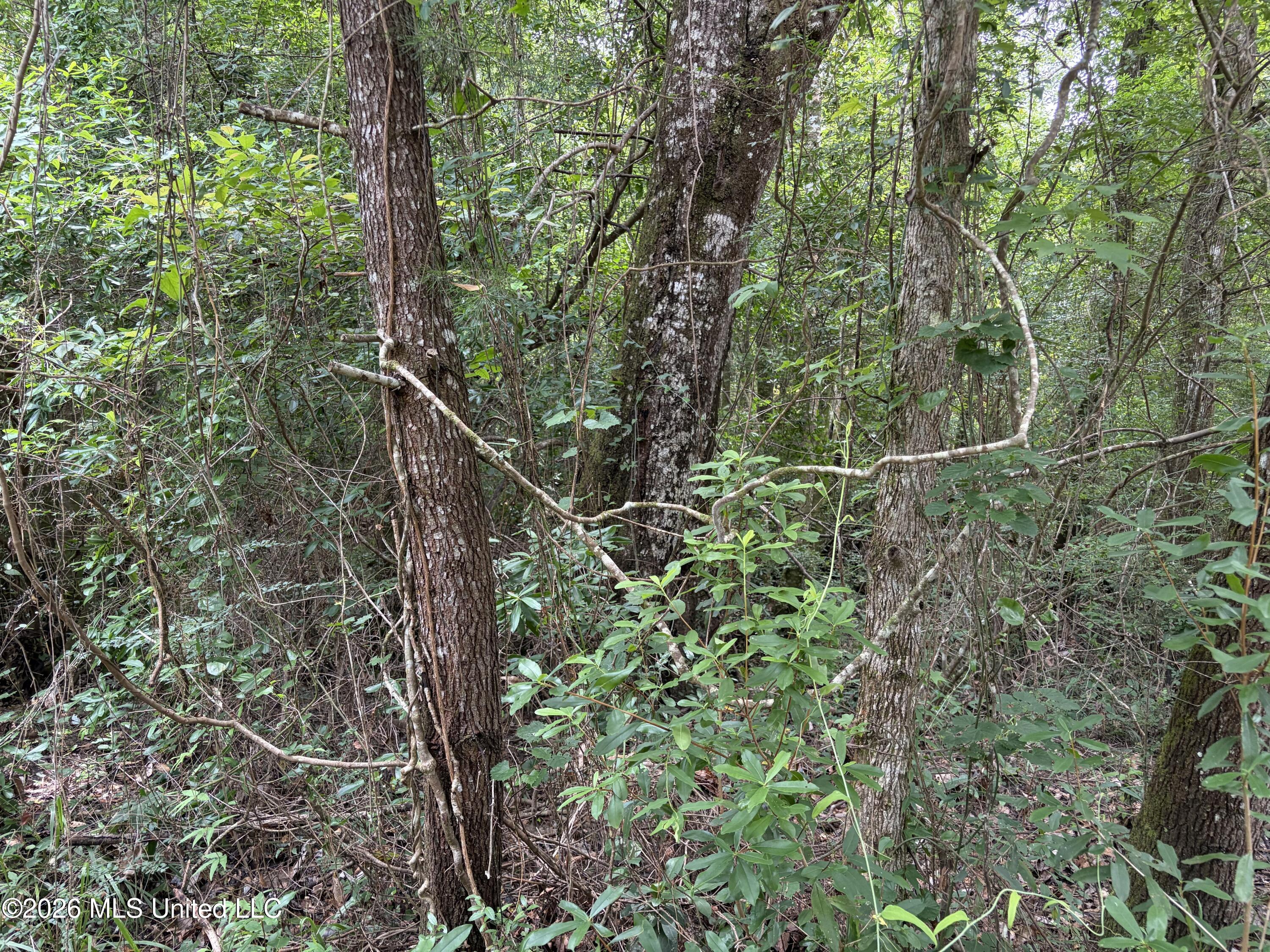 000 Thigpen Rd Property Photo 6