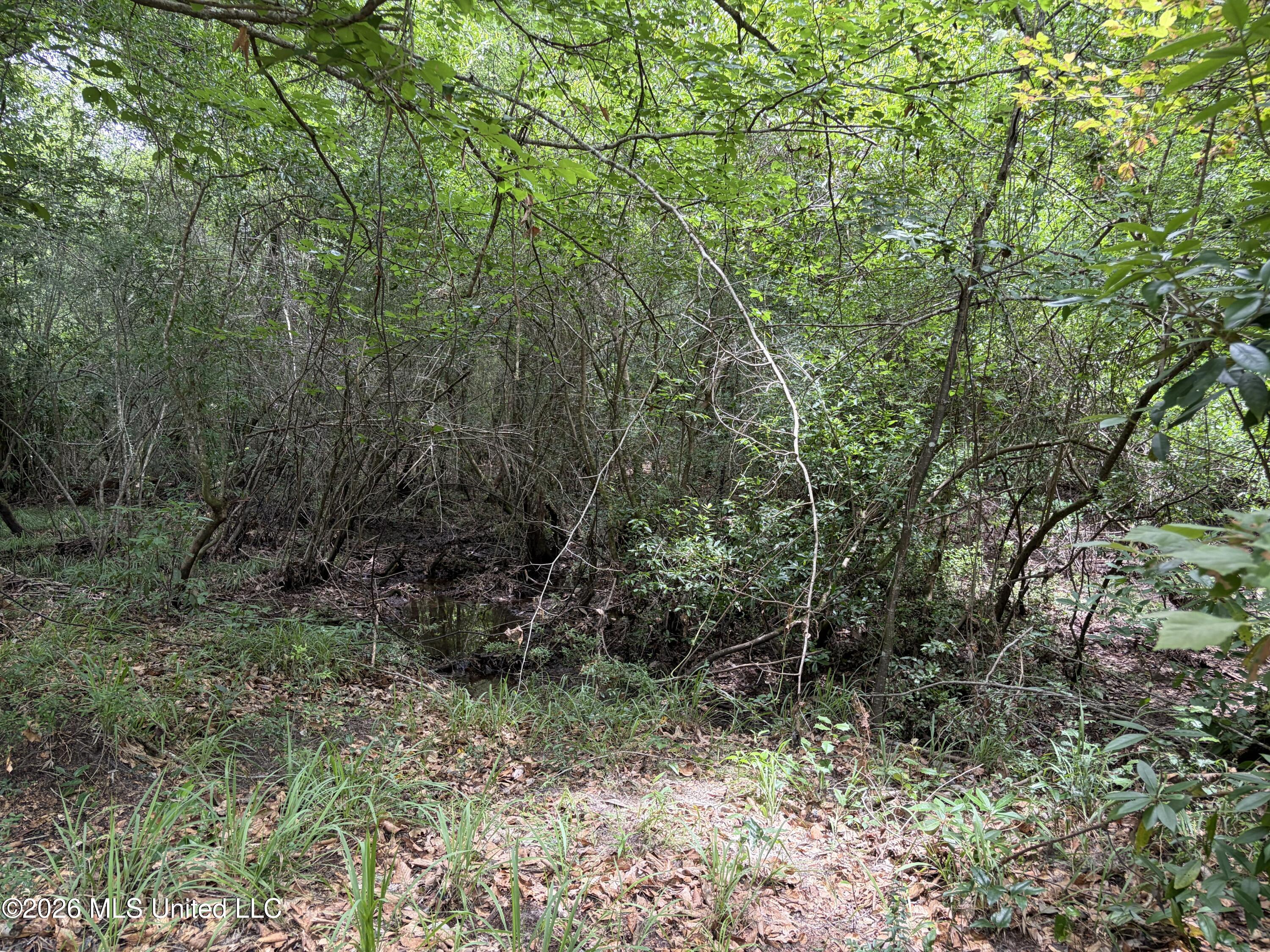 000 Thigpen Rd Property Photo 8
