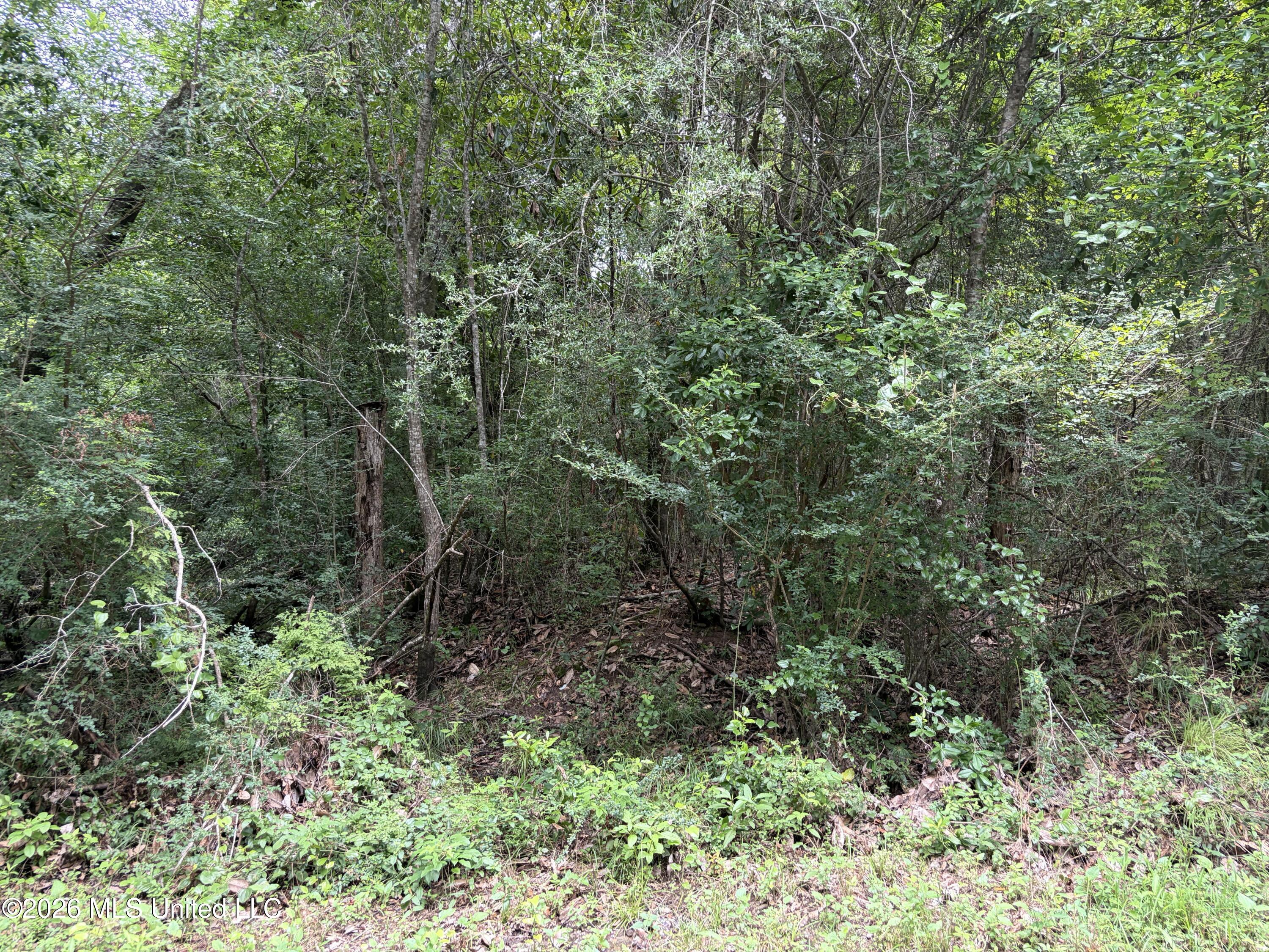 000 Thigpen Rd Property Photo 10