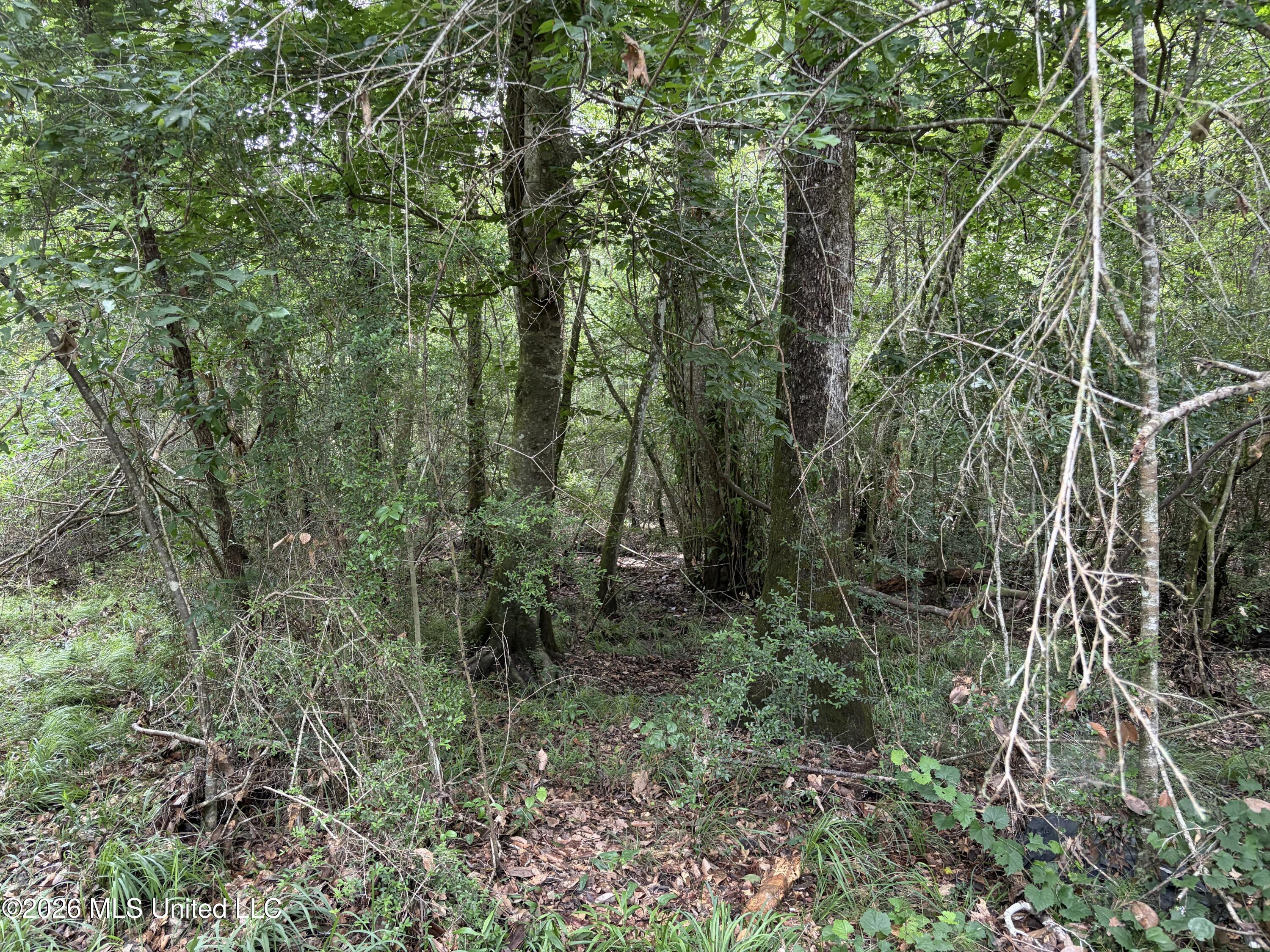 000 Thigpen Rd Property Photo 15