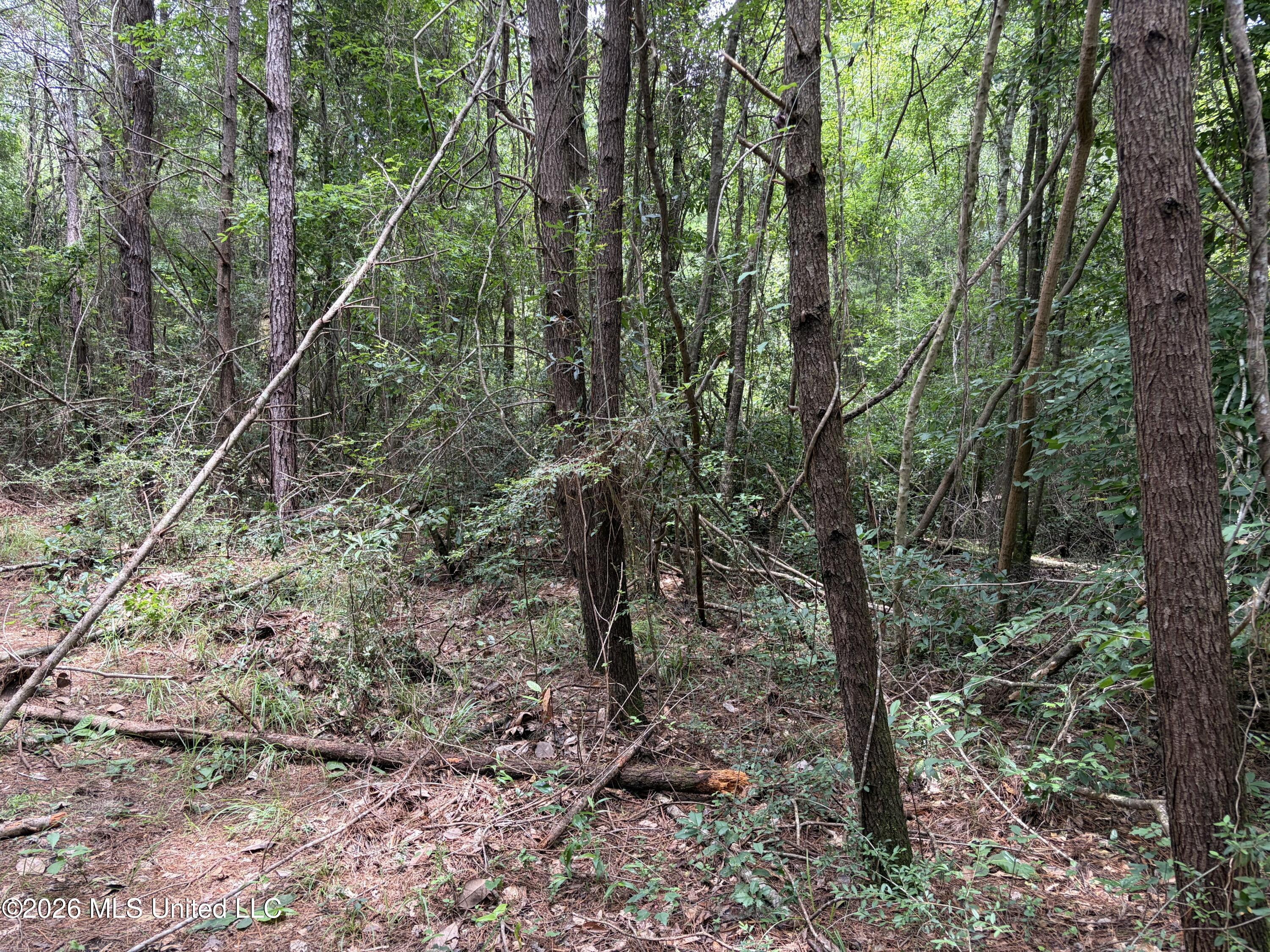 000 Thigpen Rd Property Photo 16
