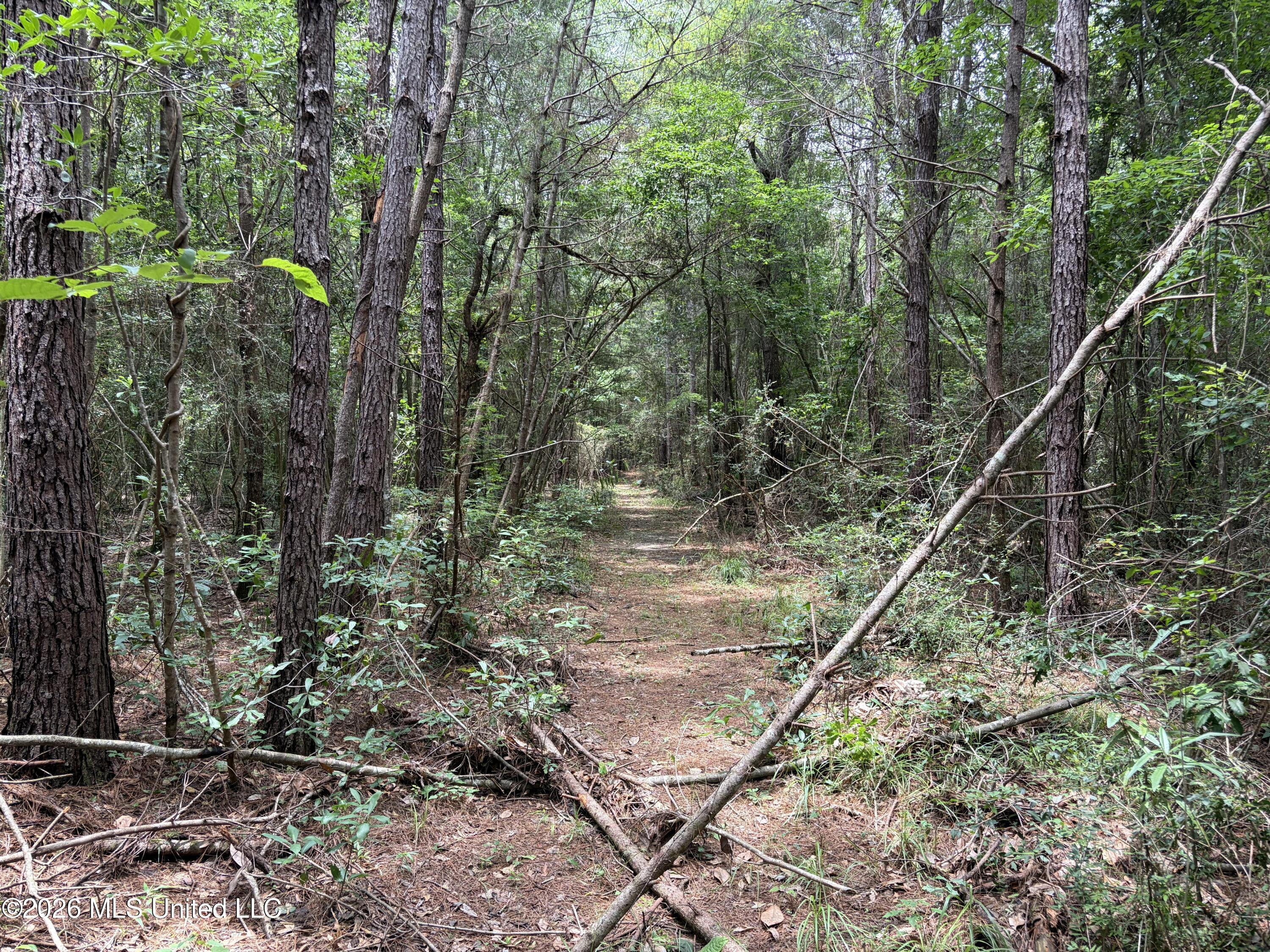 000 Thigpen Rd Property Photo 17