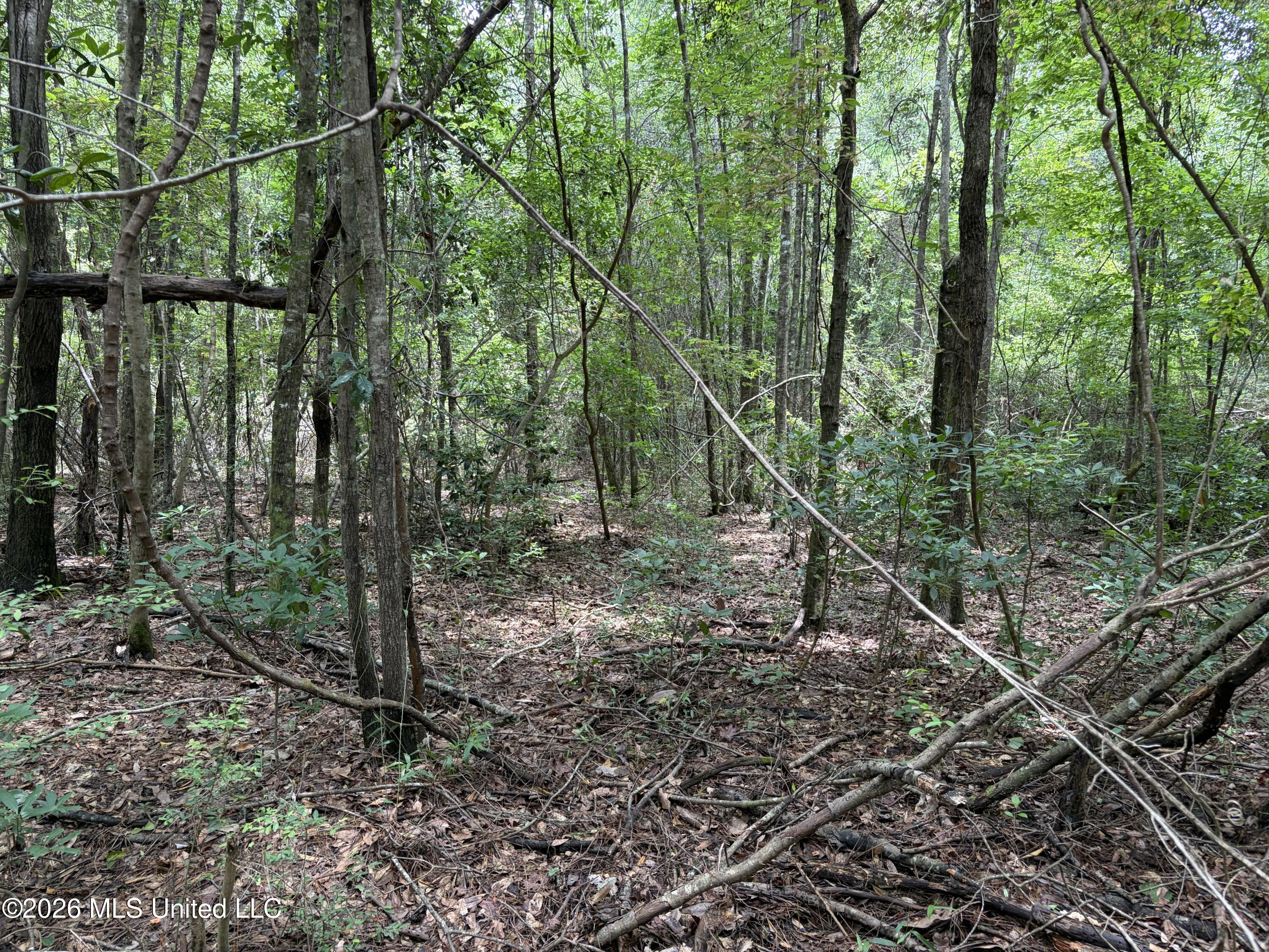 000 Thigpen Rd Property Photo 18