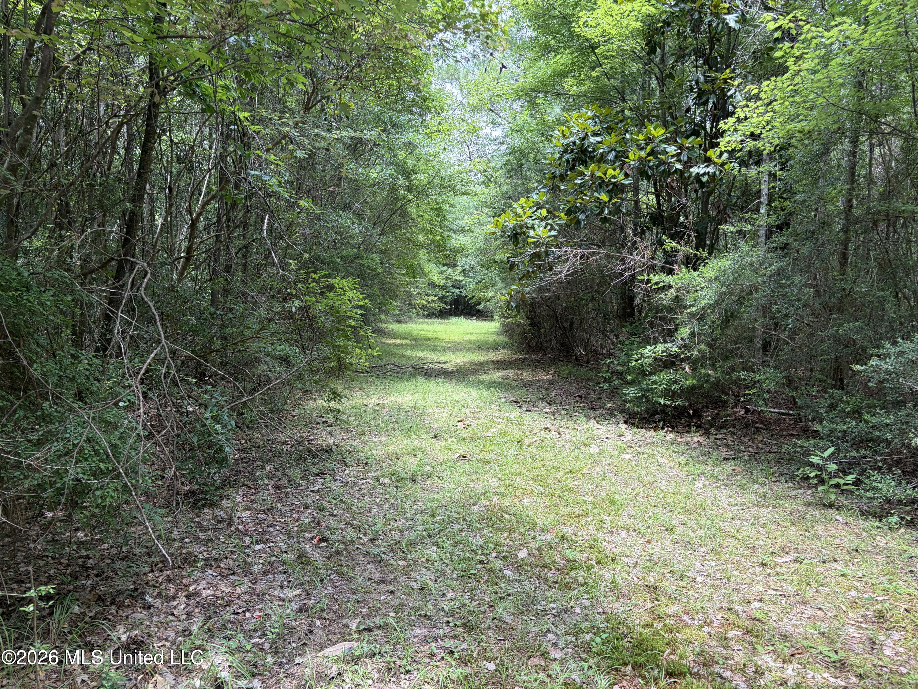 000 Thigpen Rd Property Photo 19