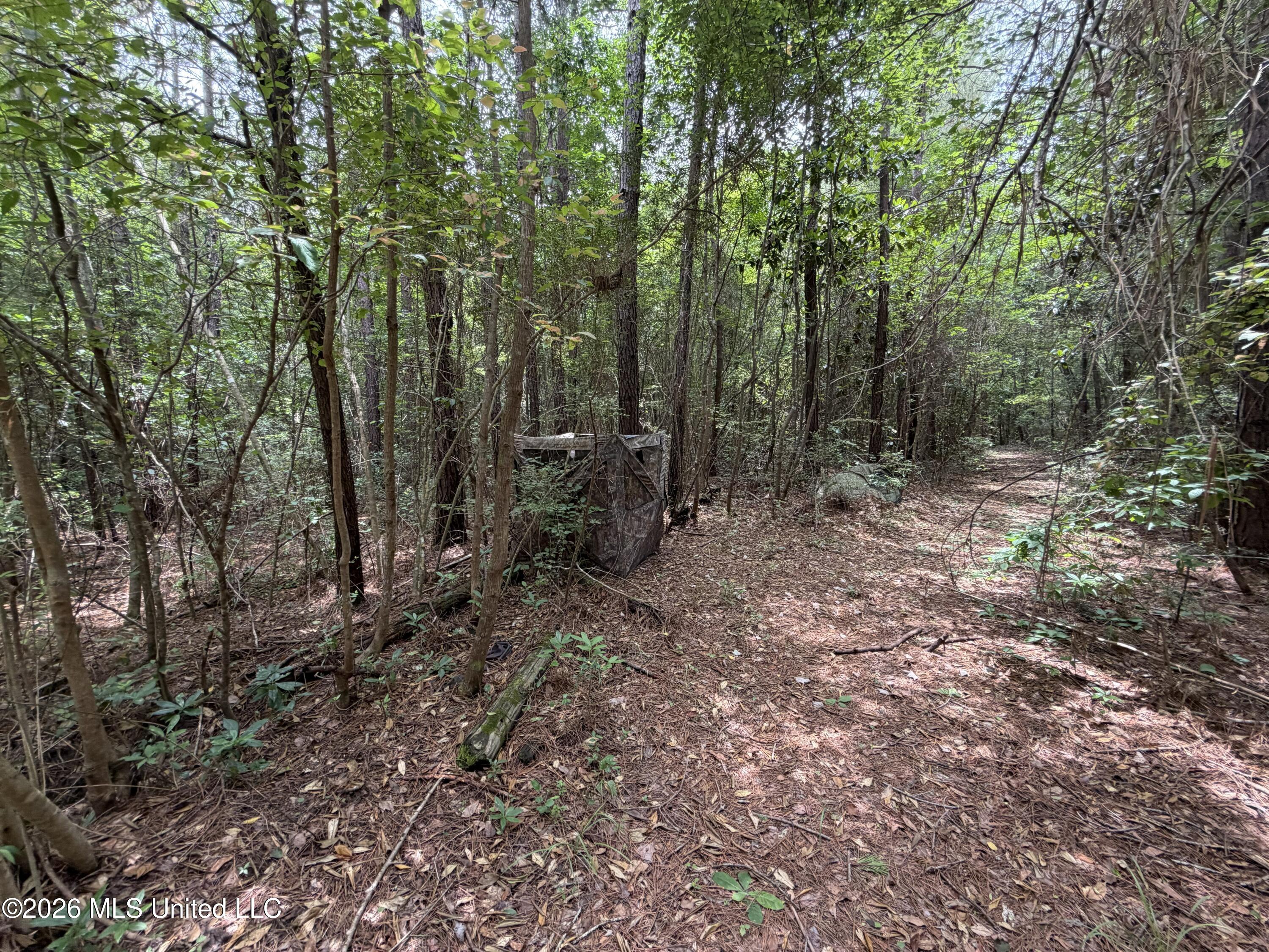 000 Thigpen Rd Property Photo 23
