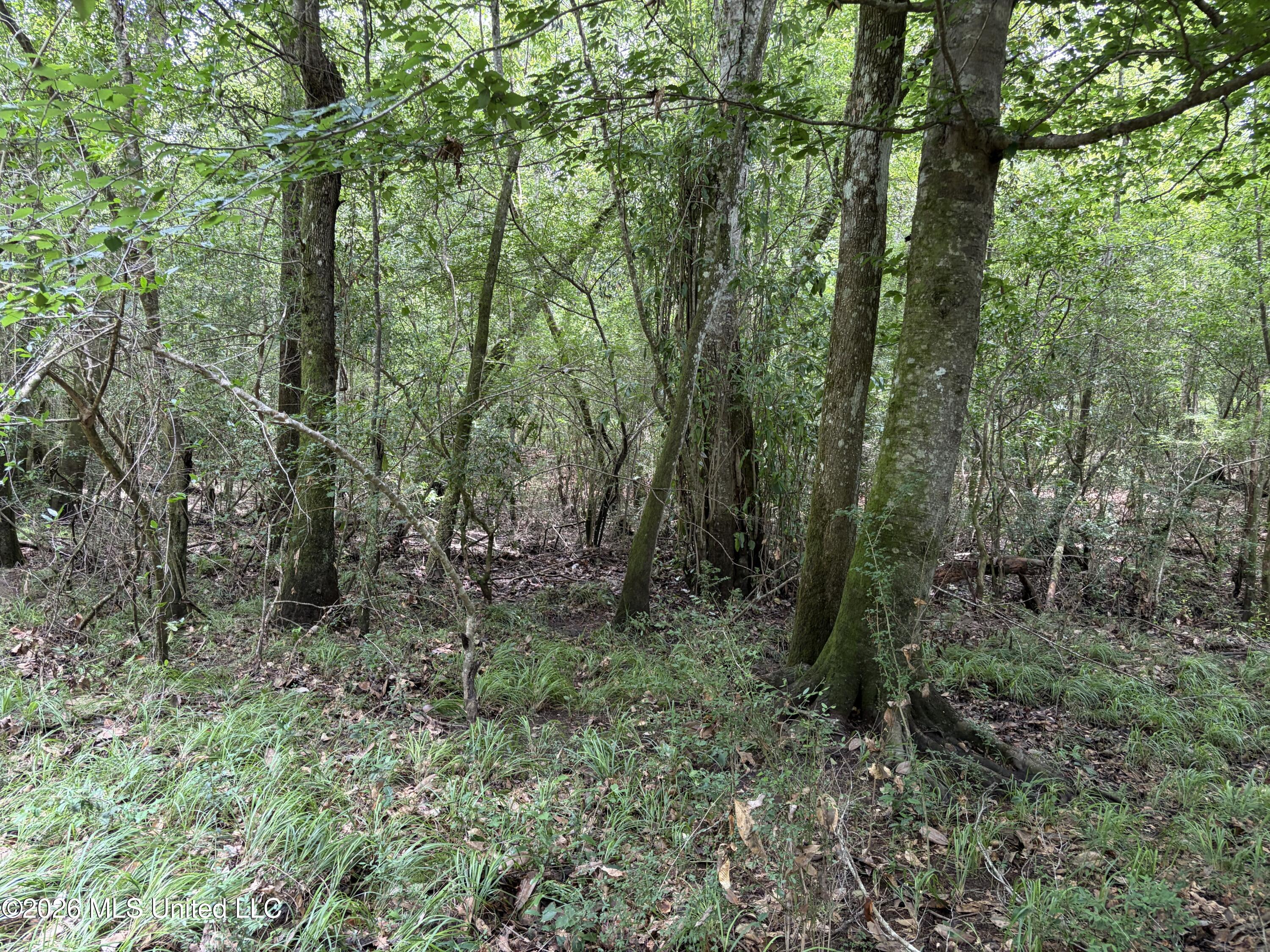 000 Thigpen Rd Property Photo 27