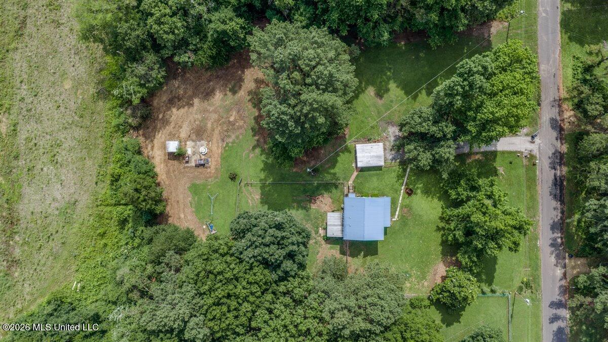 207 Forest Hill Road Property Photo 9