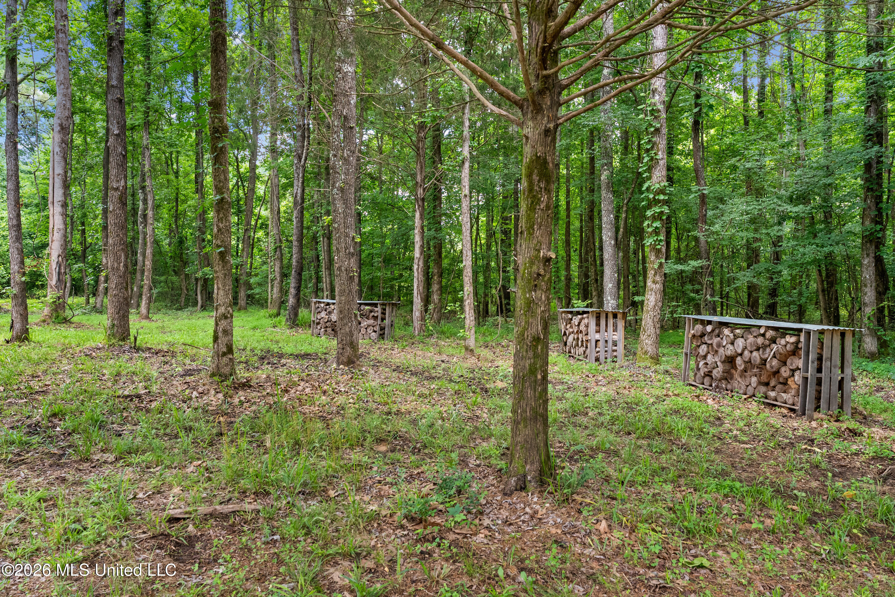 479 Hope Road Property Photo 54