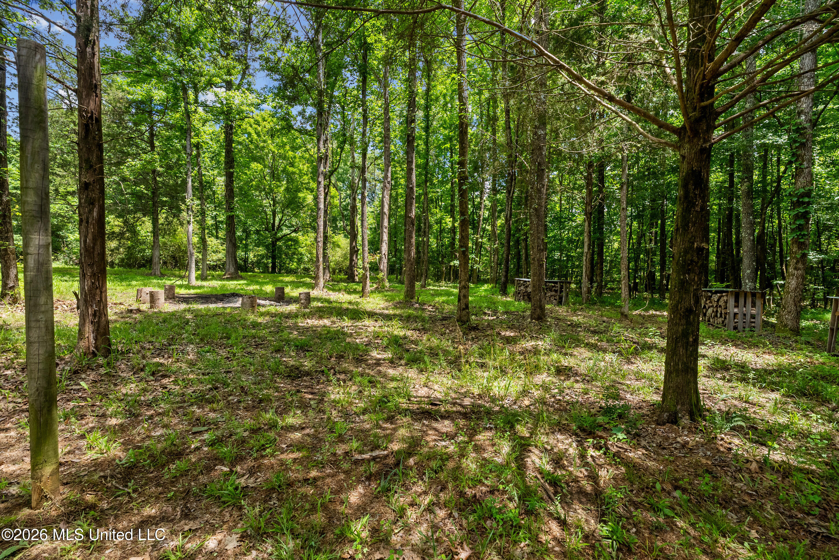479 Hope Road Property Photo 55