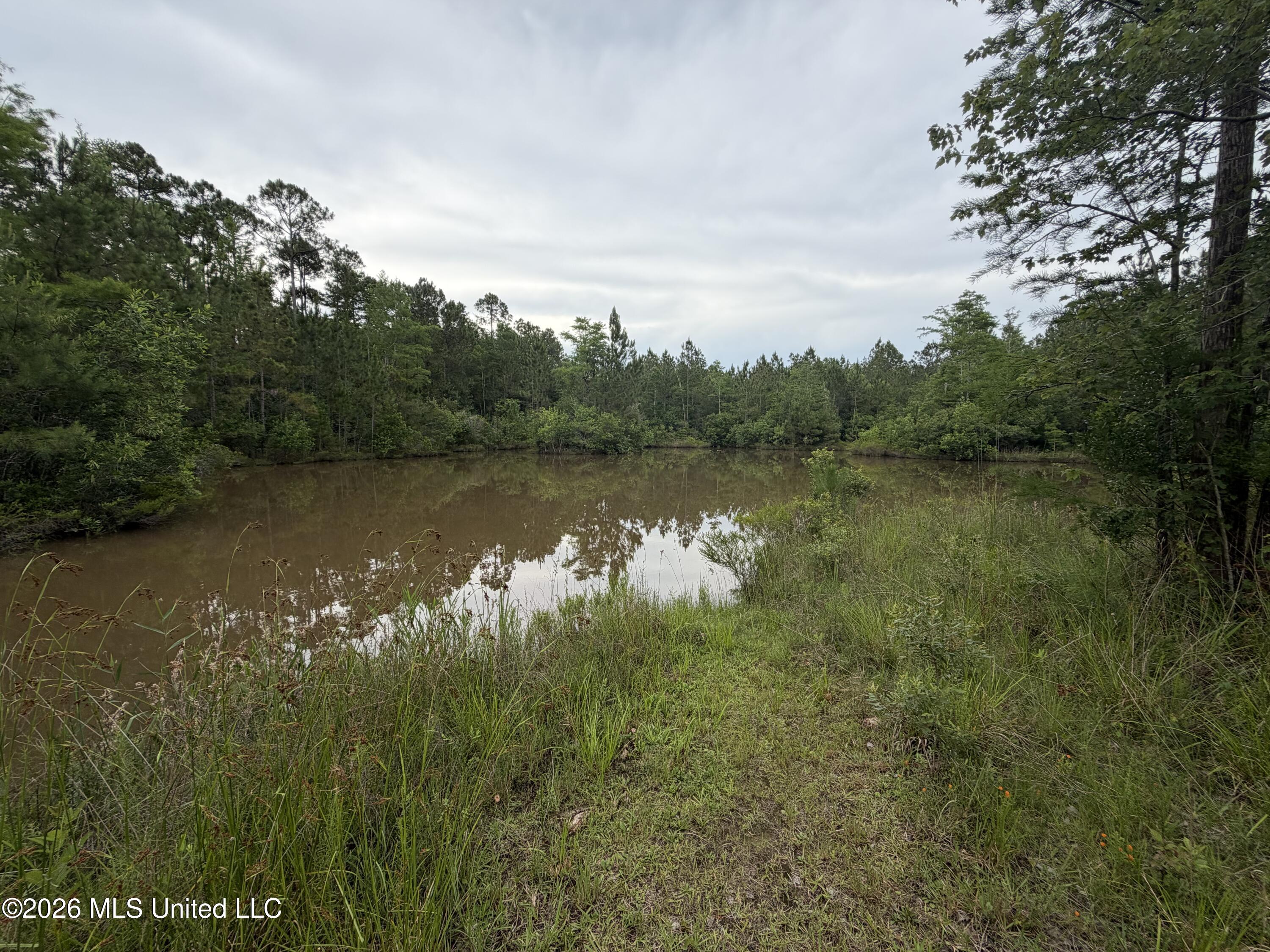 15566 Highway 15 Boulevard Property Photo 14