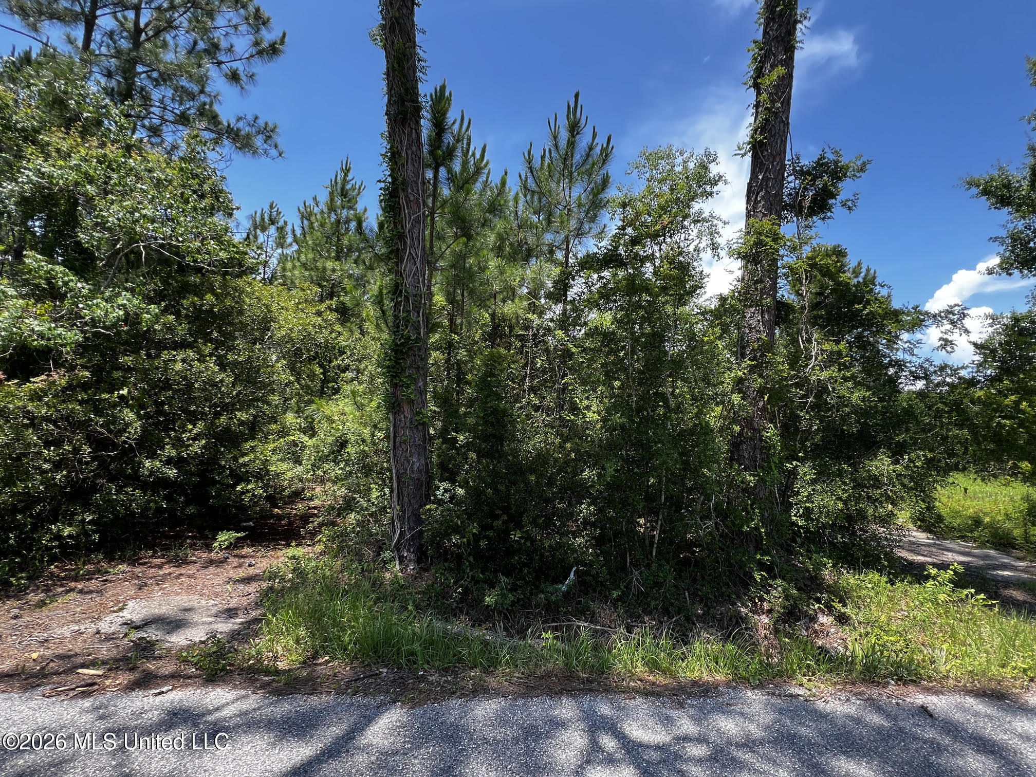 383 Morton Avenue Property Photo 1