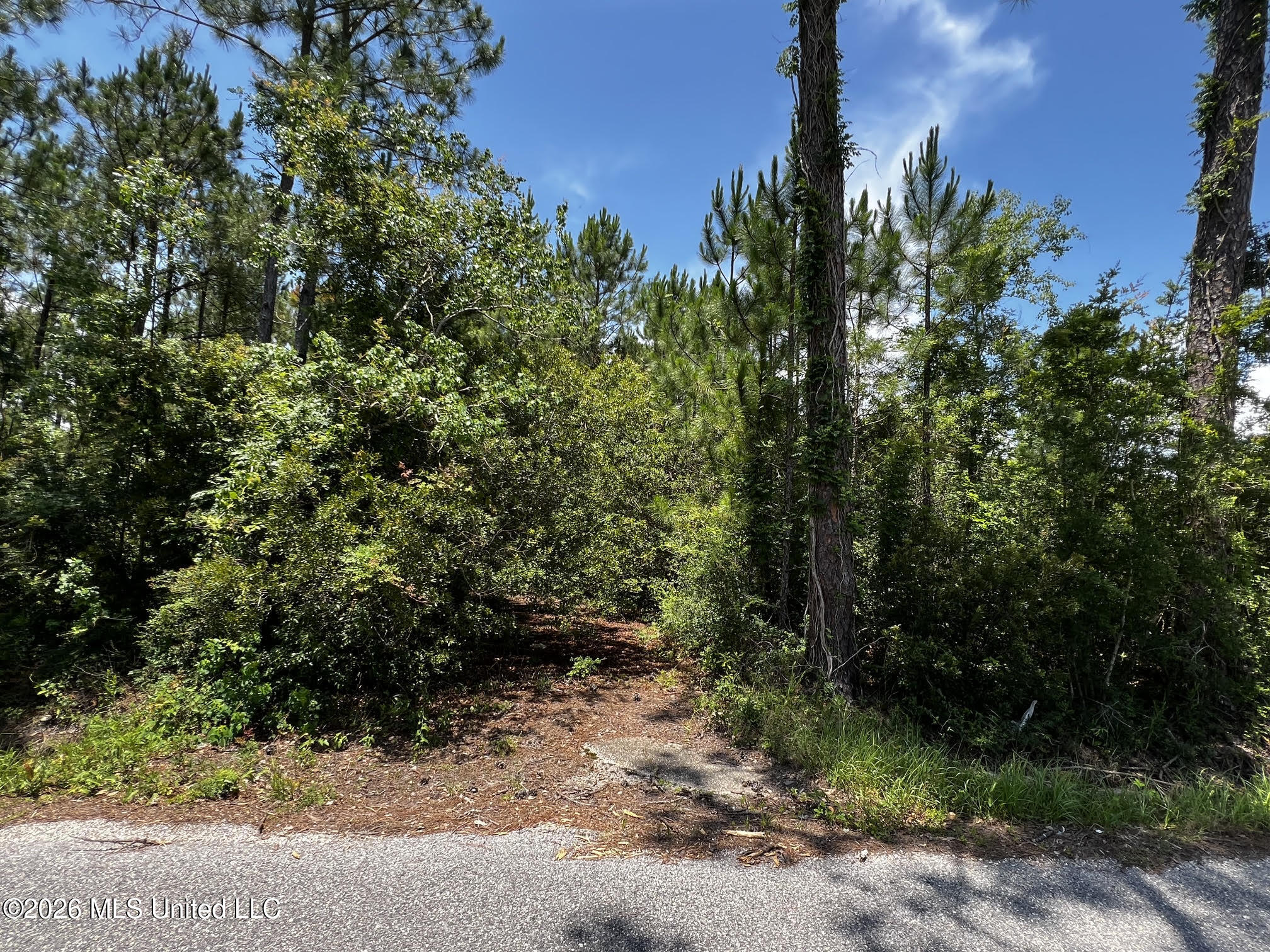 383 Morton Avenue Property Photo 2