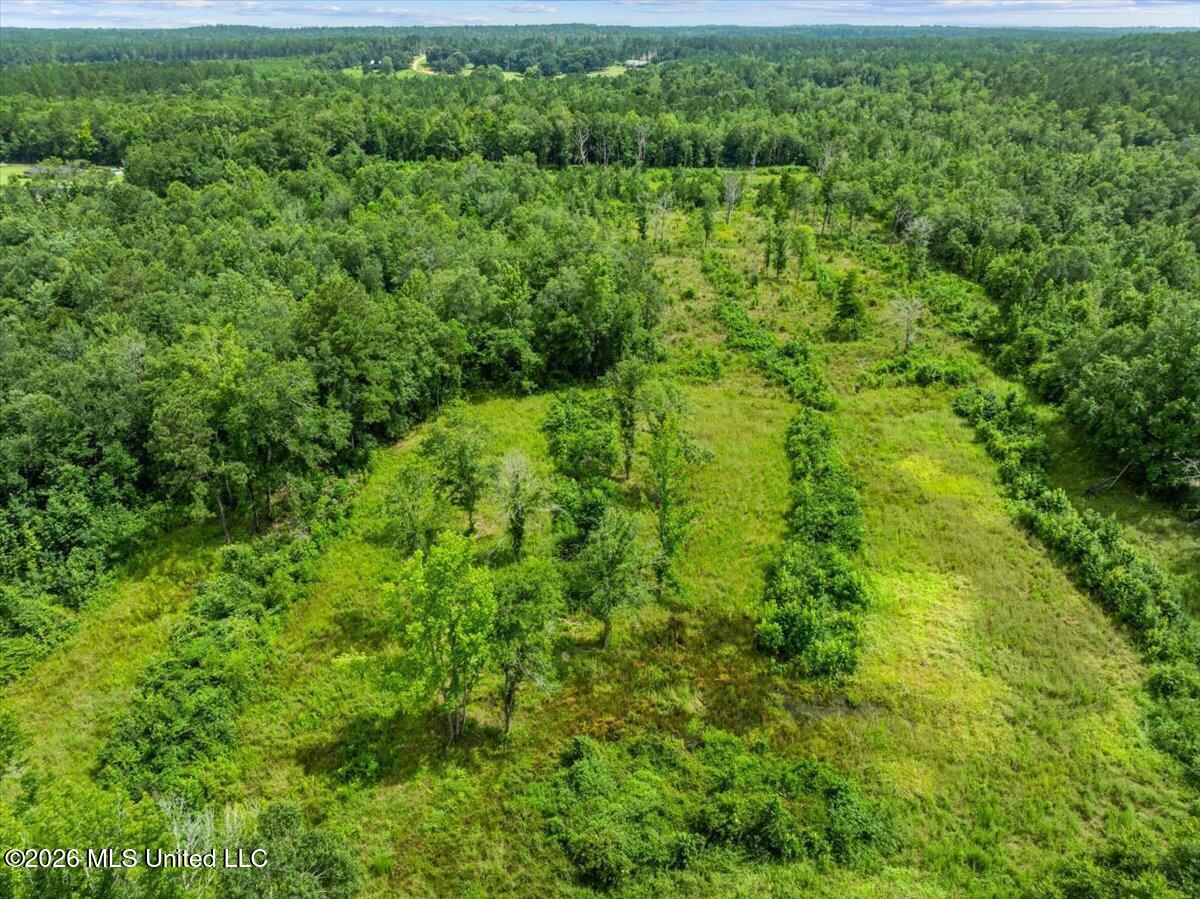 Hwy 98 Highway Property Photo 10