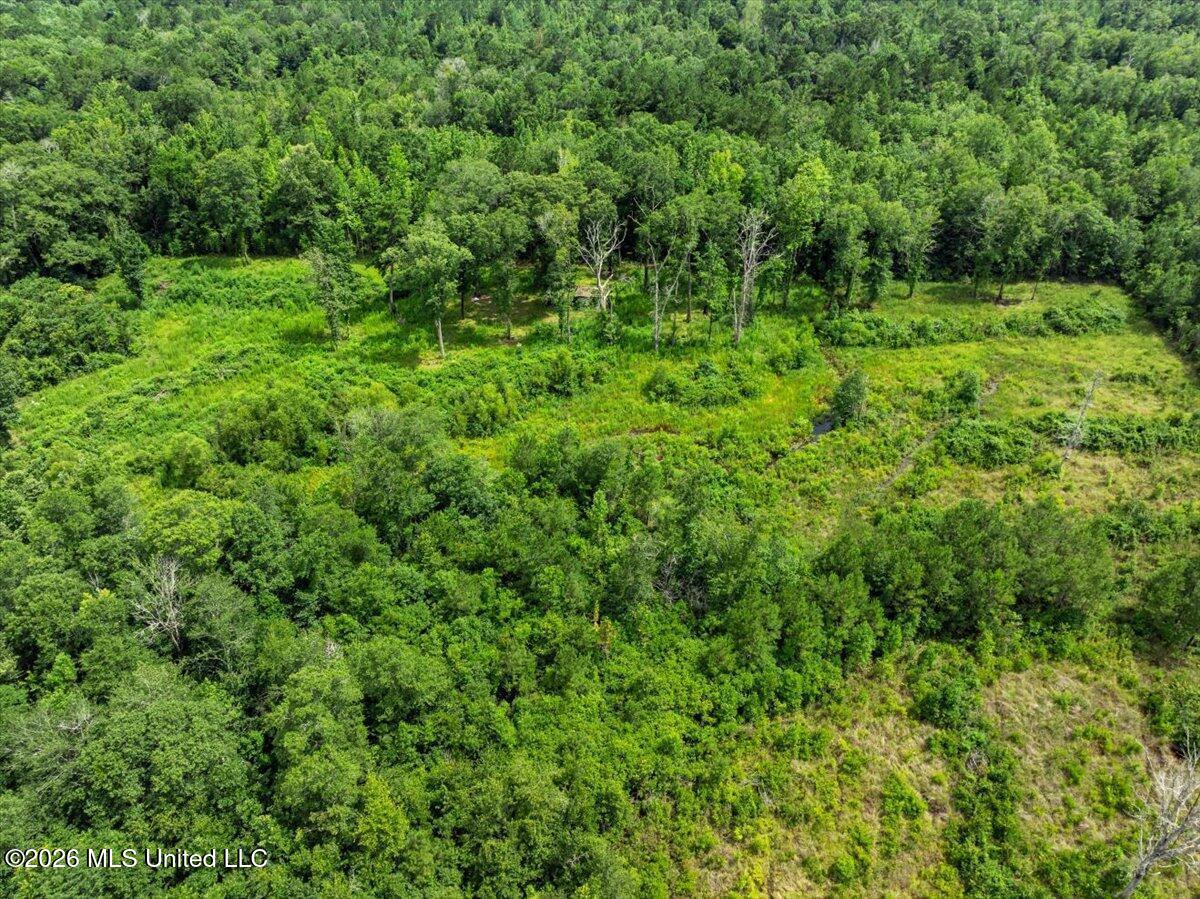 Hwy 98 Highway Property Photo 11