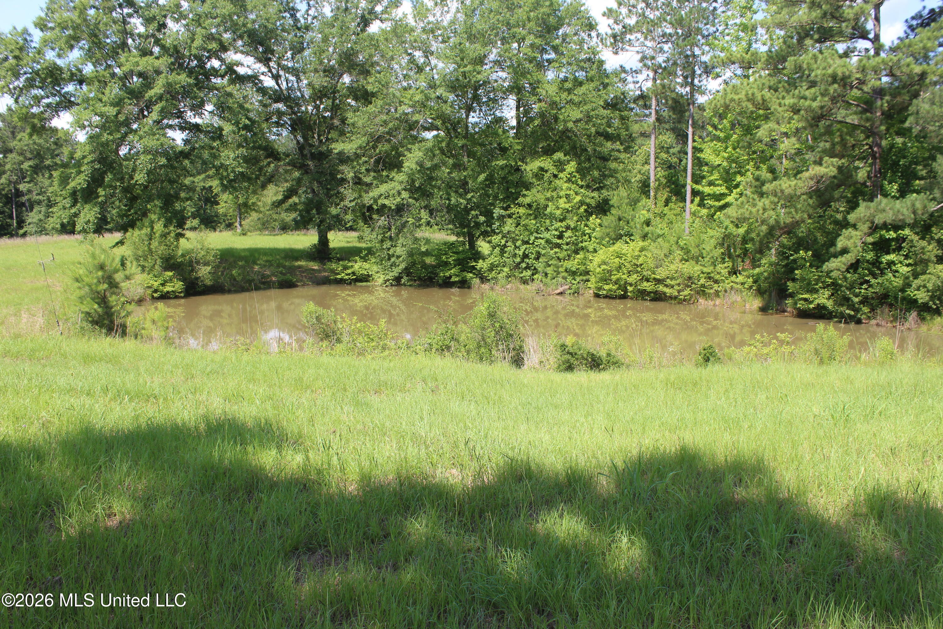 91 Levester Smith Lane Property Photo 3